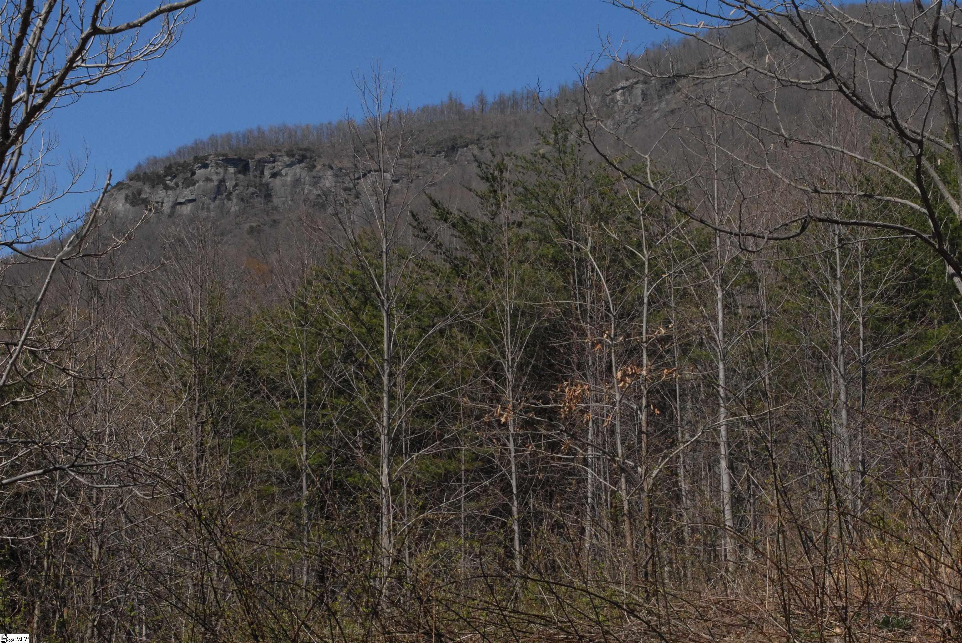 00 Birkdale, Mill Spring, North Carolina image 12
