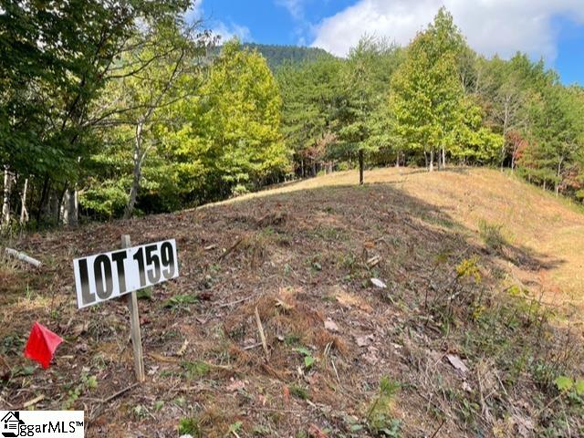 00 Birkdale, Mill Spring, North Carolina image 5