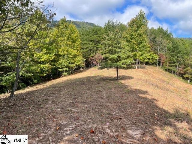00 Birkdale, Mill Spring, North Carolina image 6