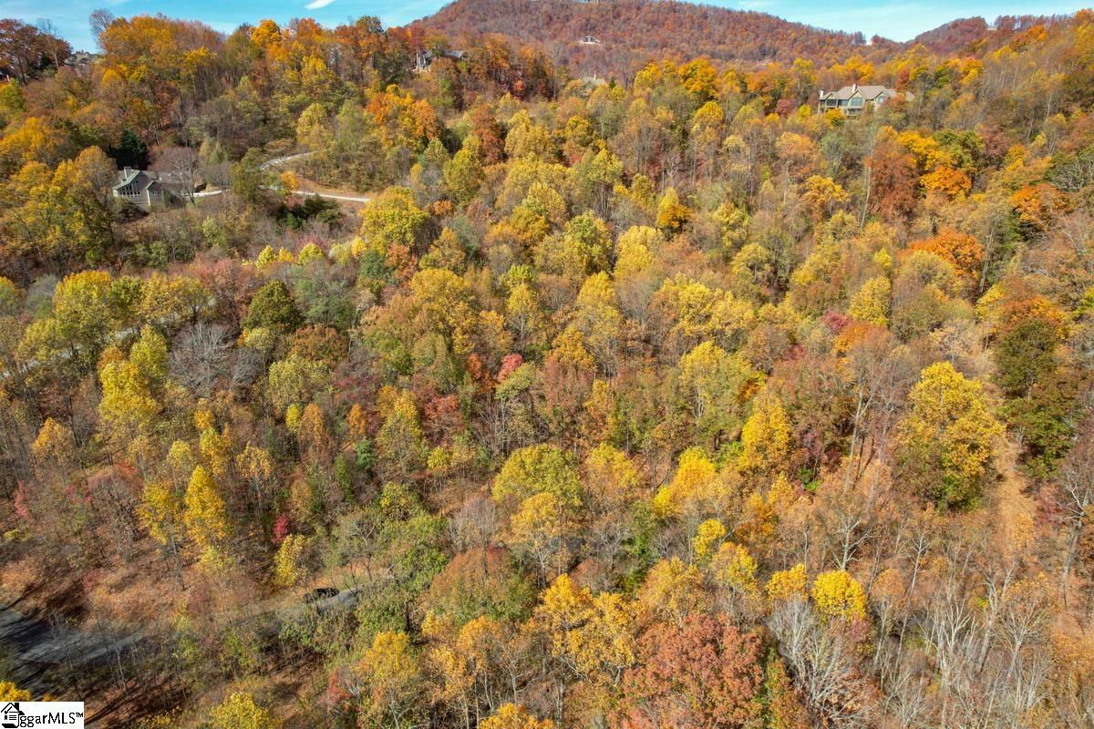 7 Mountain Oak, Travelers Rest, South Carolina image 4
