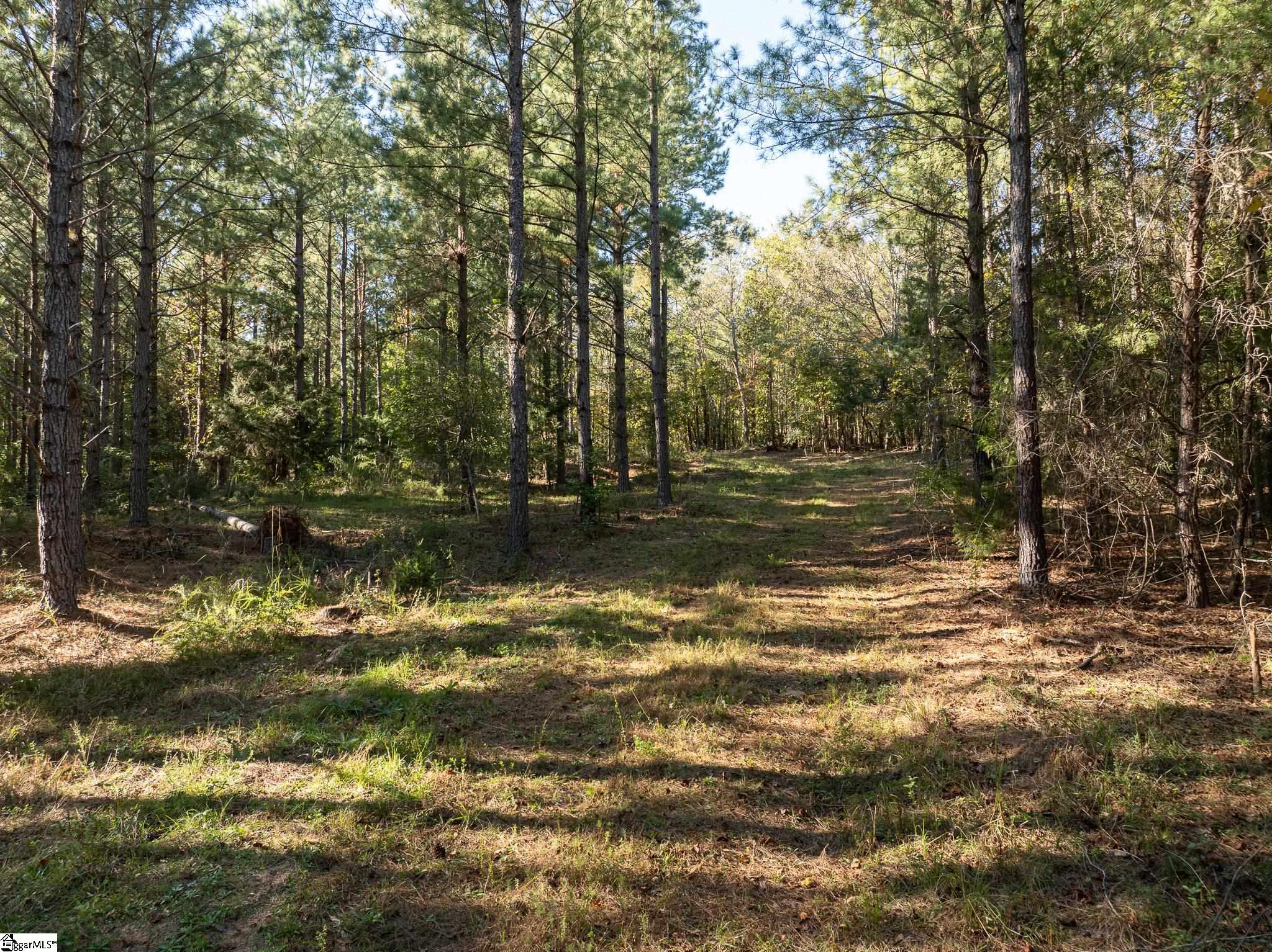 1 Rogerstown, Union, South Carolina image 11