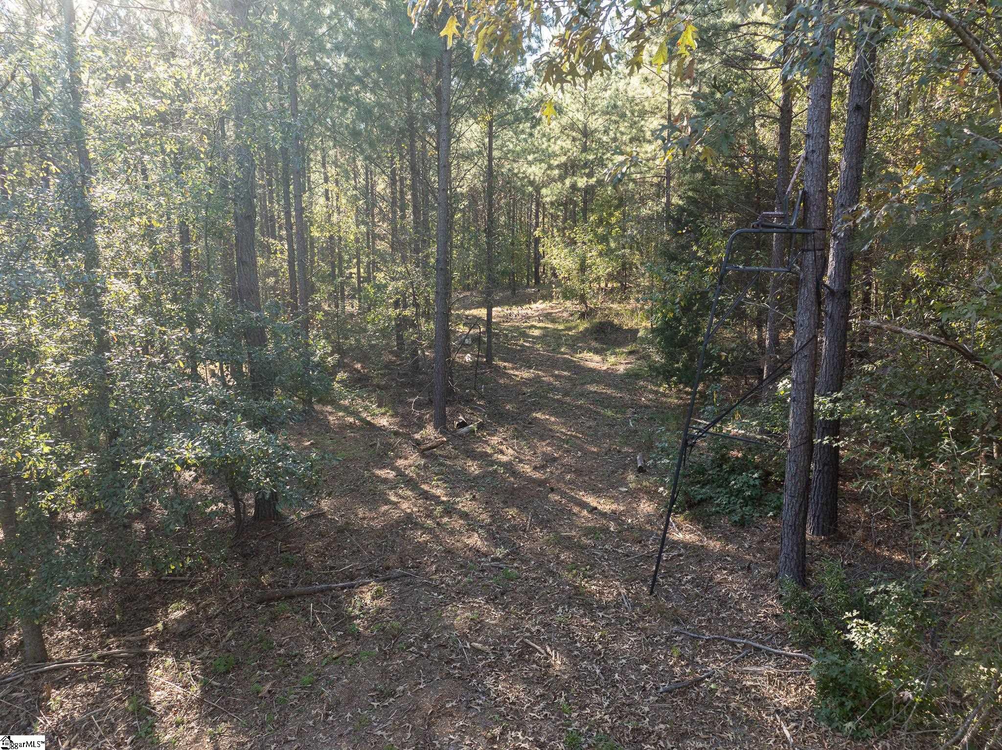 1 Rogerstown, Union, South Carolina image 12