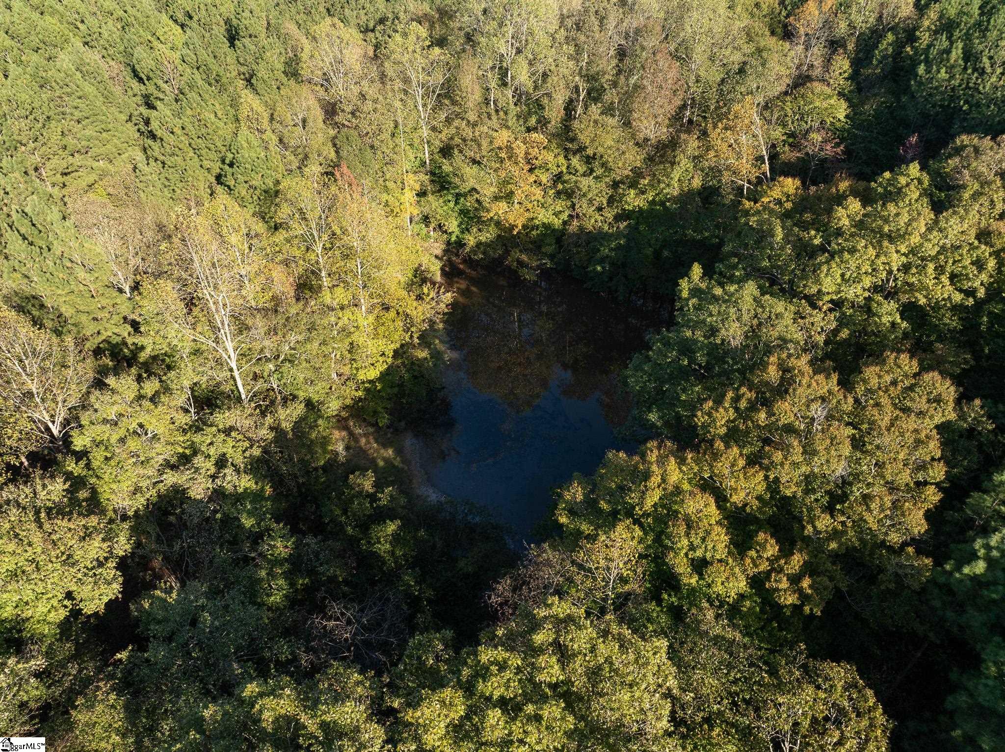 1 Rogerstown, Union, South Carolina image 14