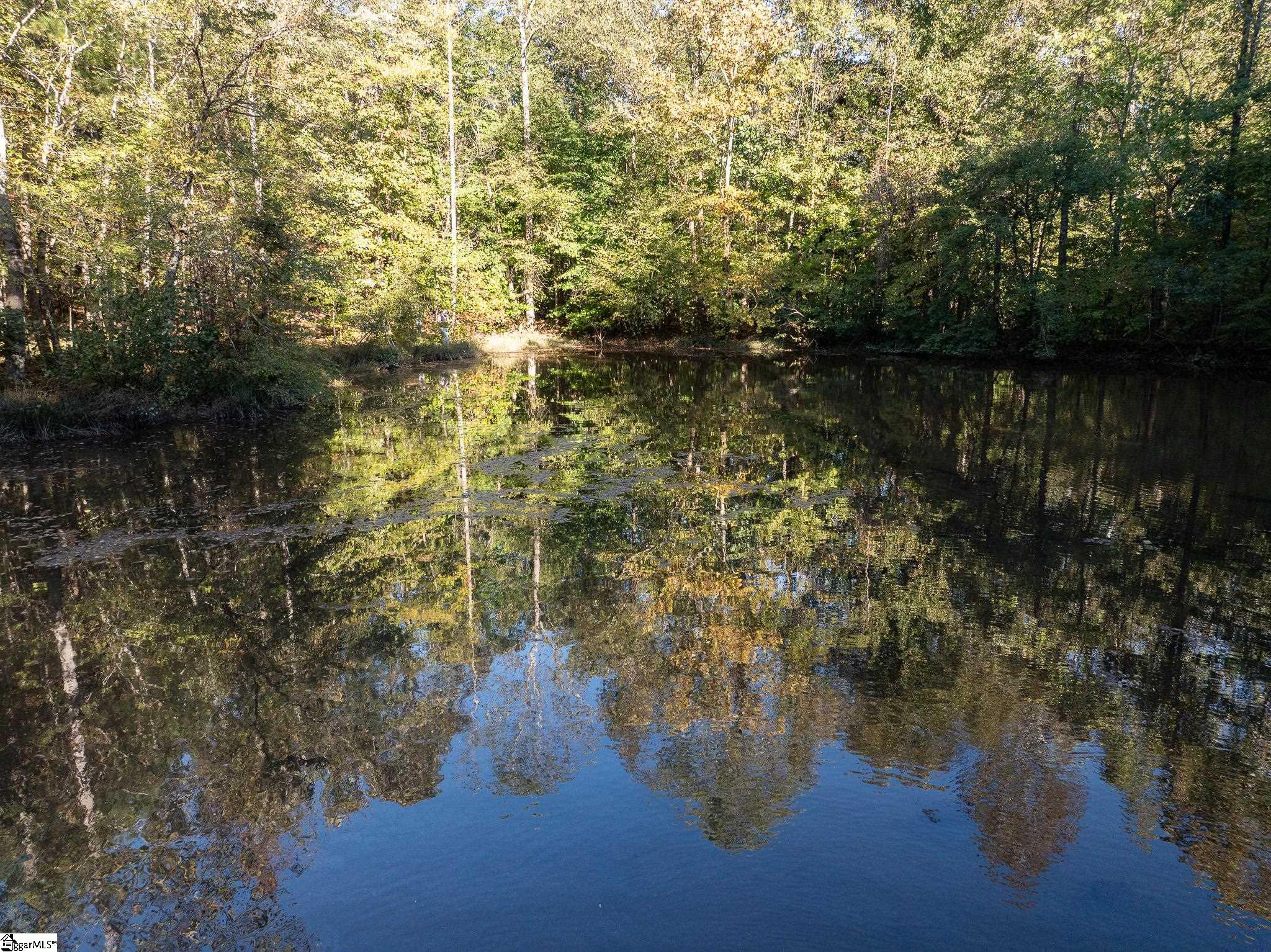 1 Rogerstown, Union, South Carolina image 16
