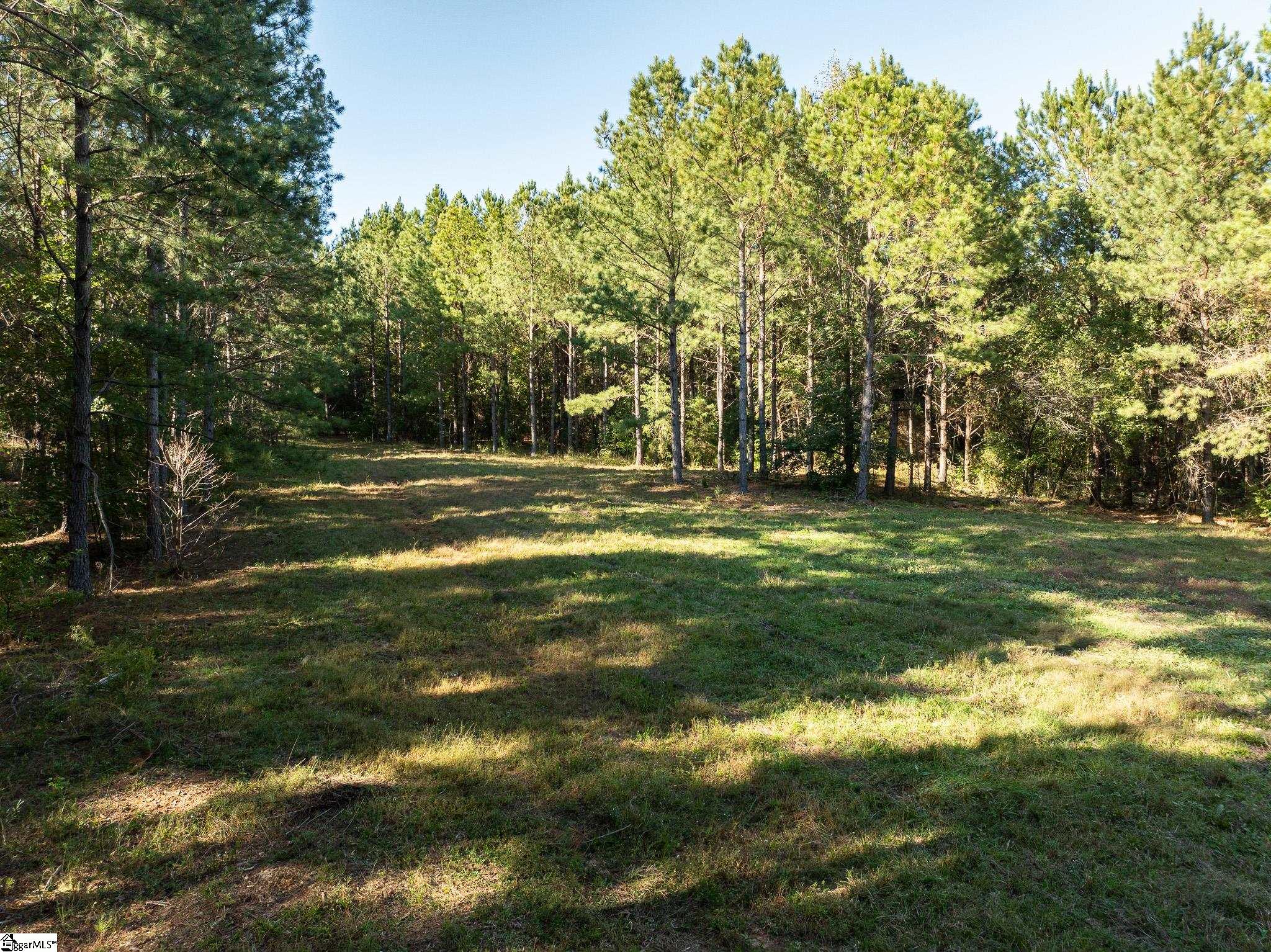 1 Rogerstown, Union, South Carolina image 3