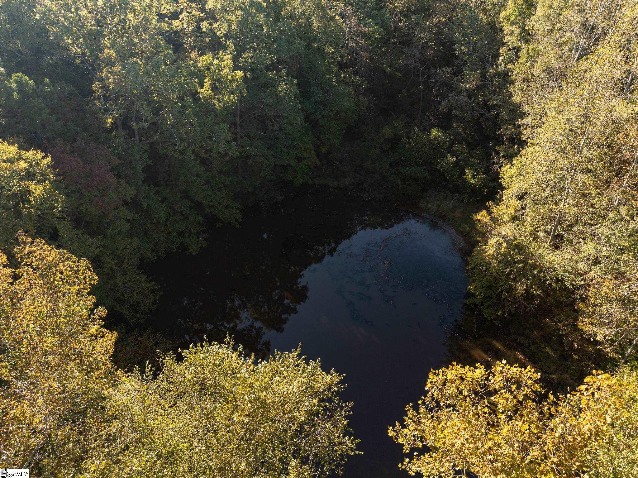 1 Rogerstown, Union, South Carolina image 7