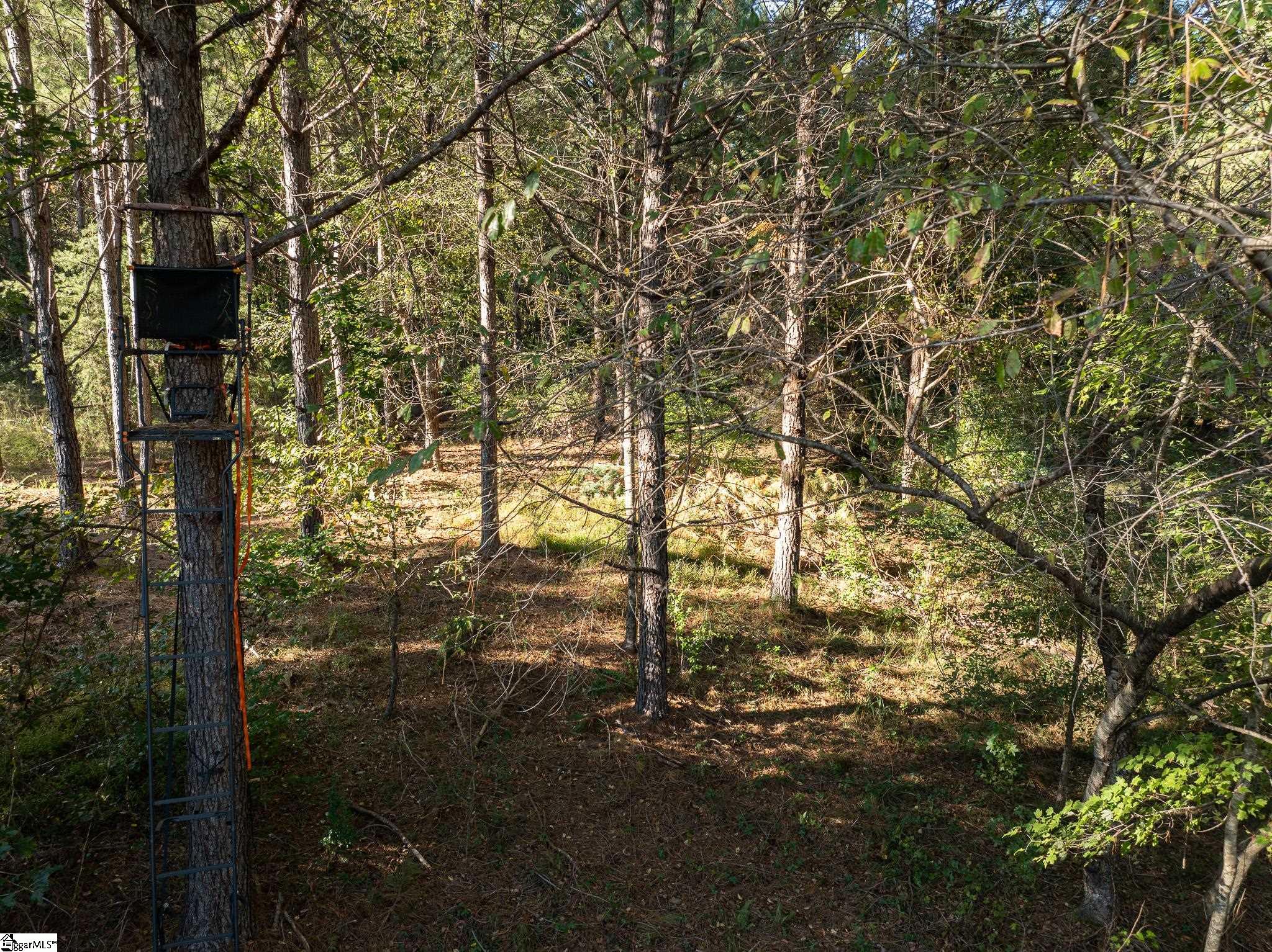 1 Rogerstown, Union, South Carolina image 10