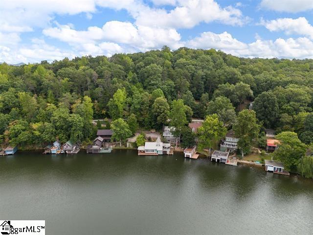 1200 E Lakeshore, Landrum, South Carolina image 33