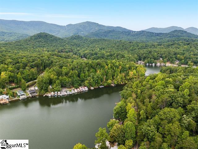 1200 E Lakeshore, Landrum, South Carolina image 34