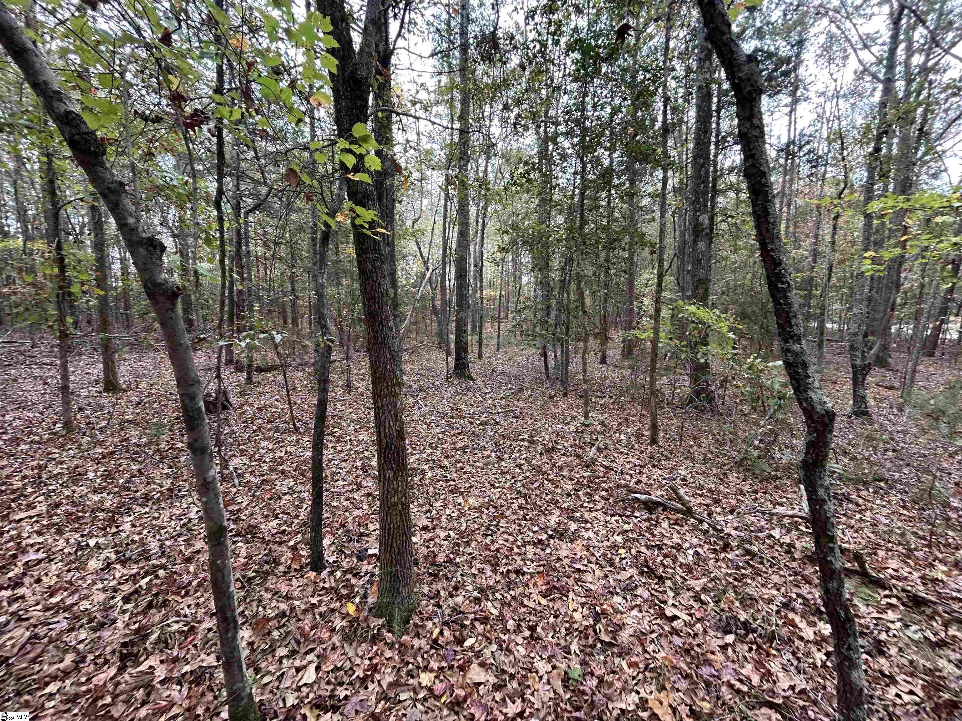 717 Nash Mill, Fountain Inn, South Carolina image 3