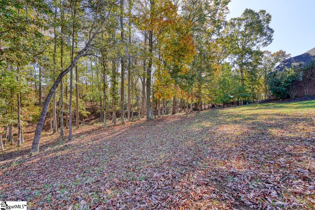 119 N Woodfin Ridge Drive, Inman SC 29349
