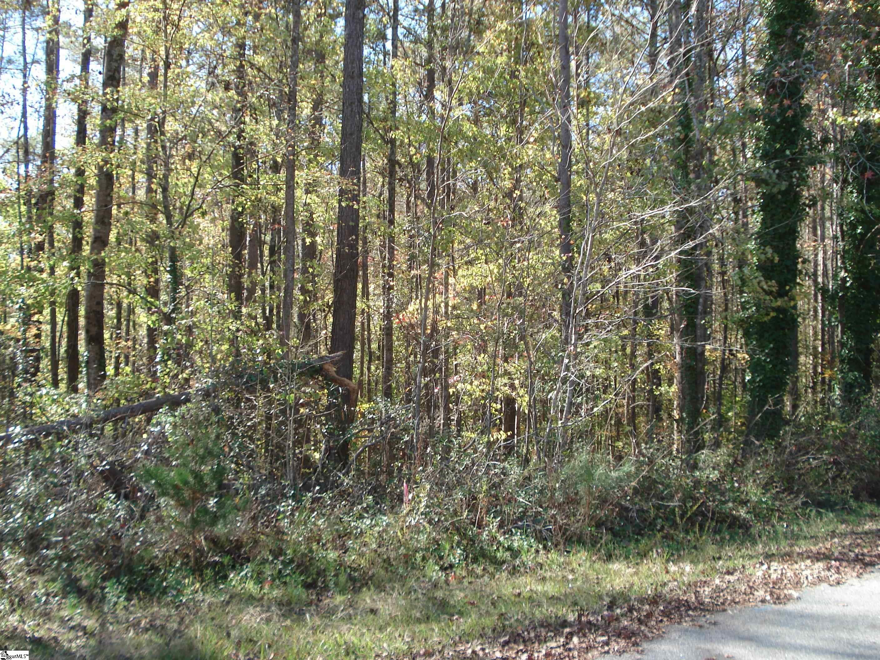 260 Eastbrook, Roebuck, South Carolina image 3