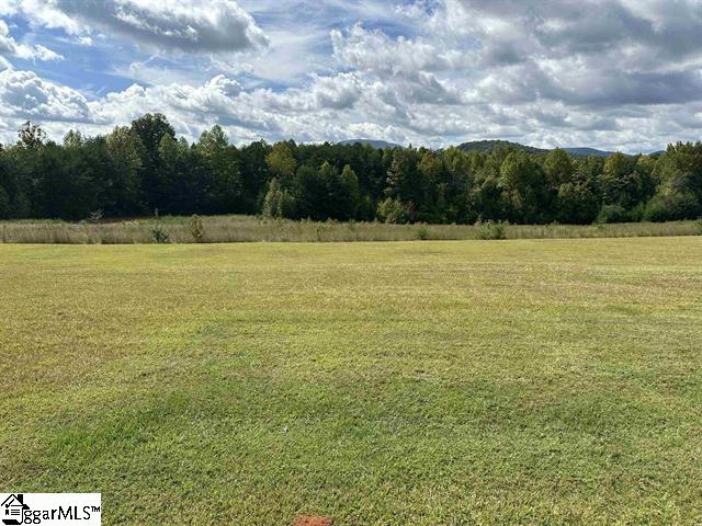 925 N Blackstock, Landrum, South Carolina image 21