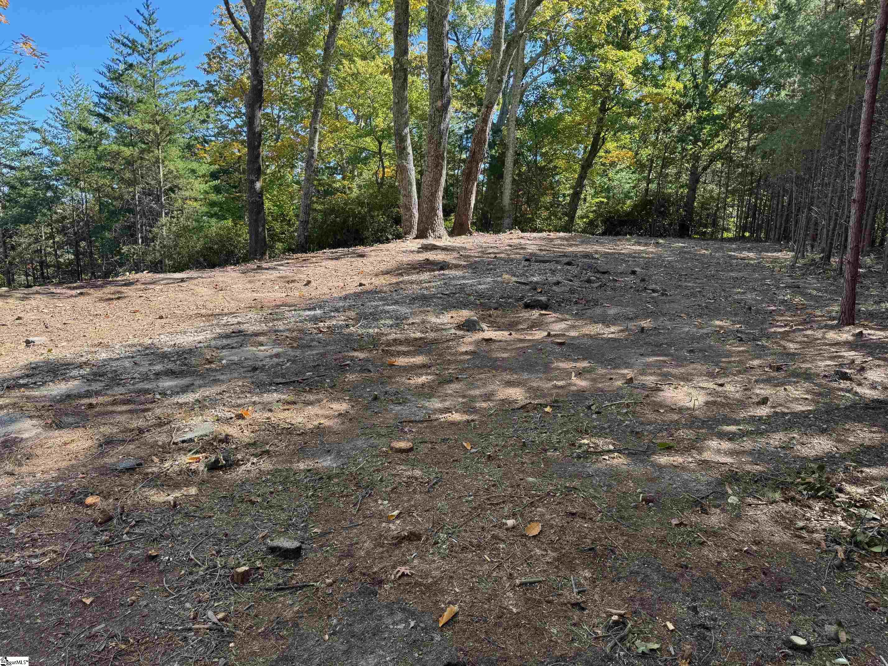 112 Ridge Pass, Landrum, South Carolina image 3