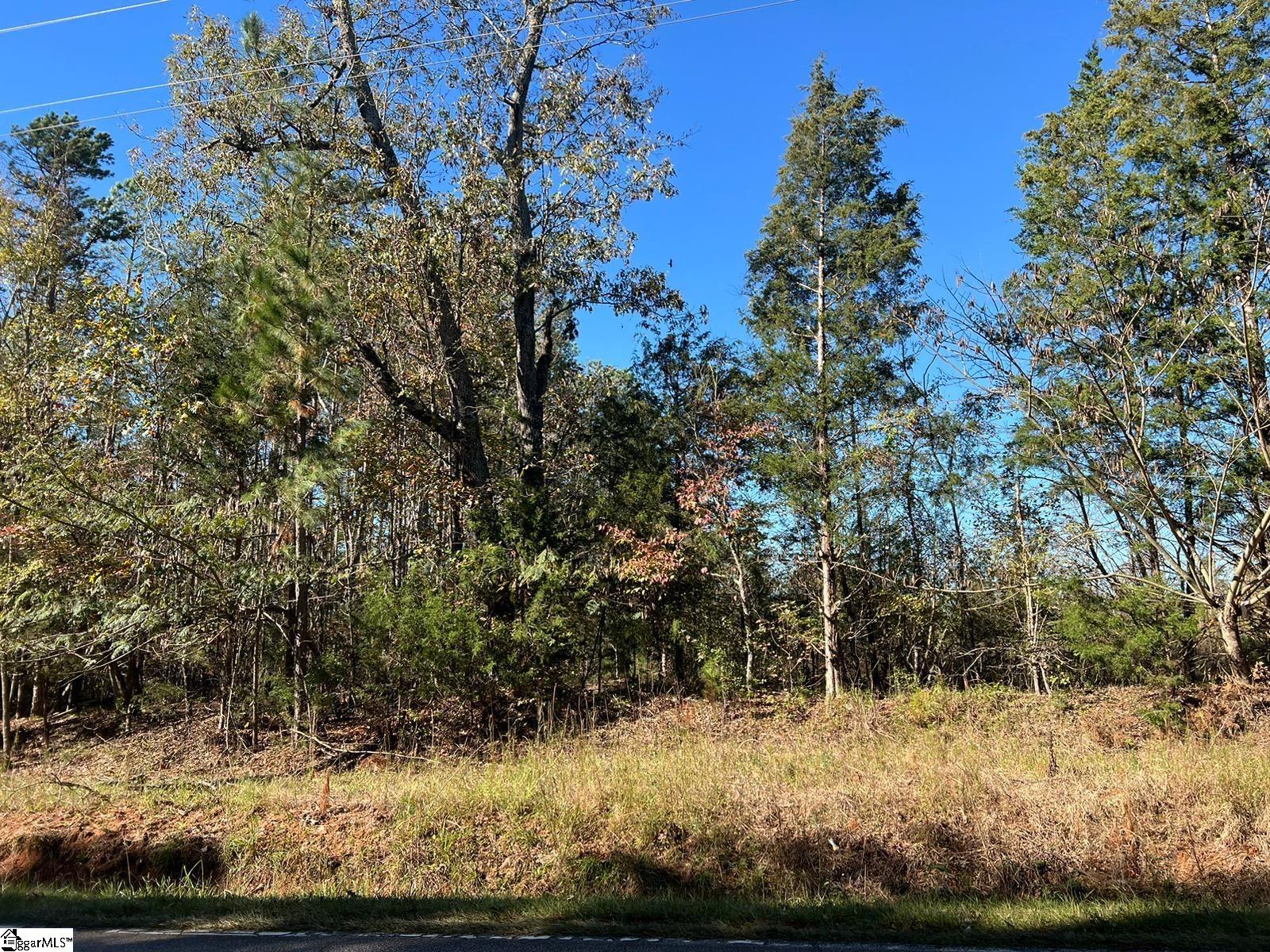 00 Dillard, Waterloo, South Carolina image 1