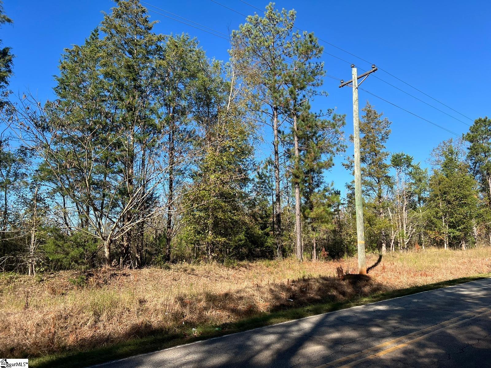 00 Dillard, Waterloo, South Carolina image 2
