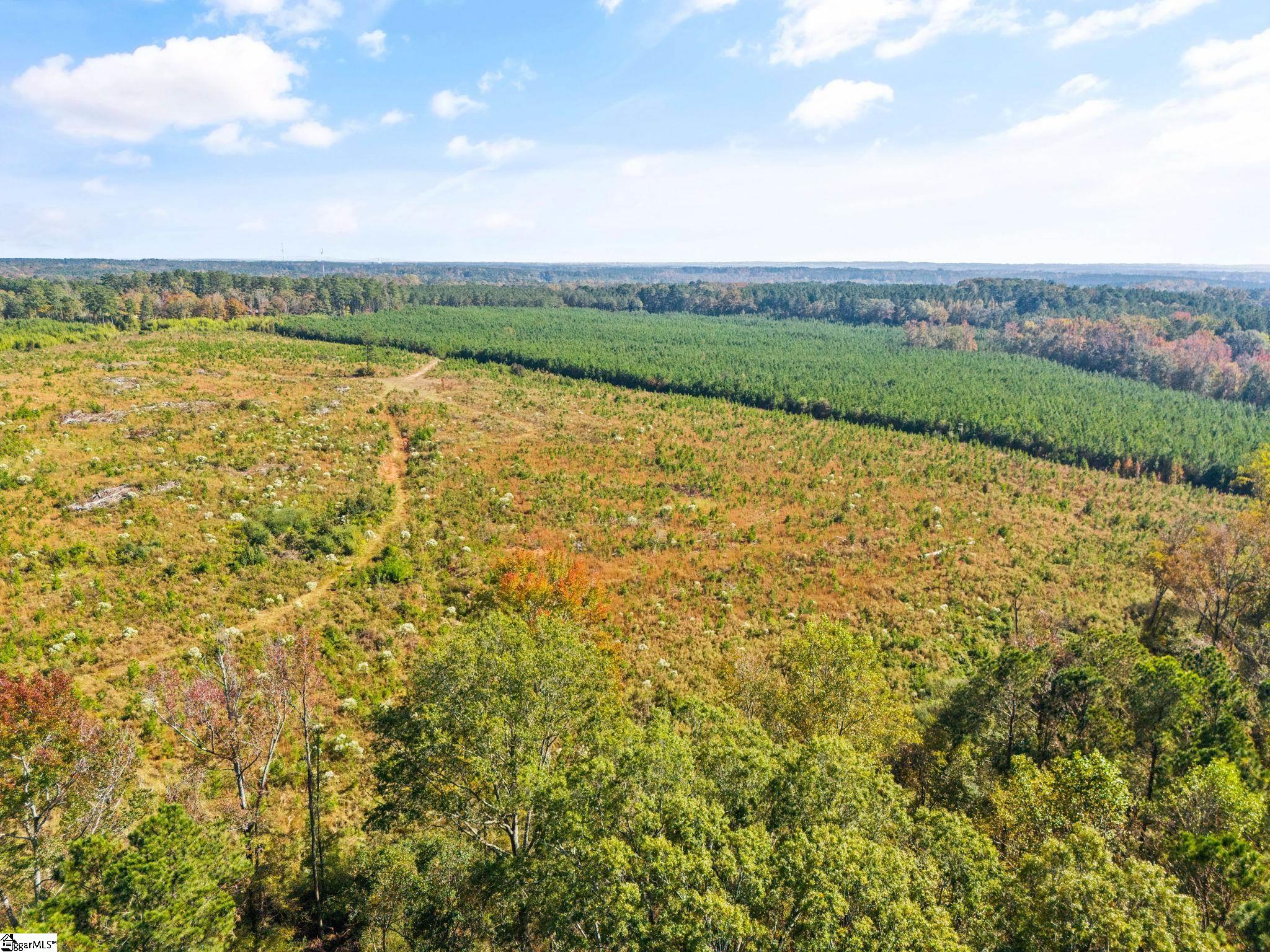 8660 Sc-highway 395, Newberry, South Carolina image 33