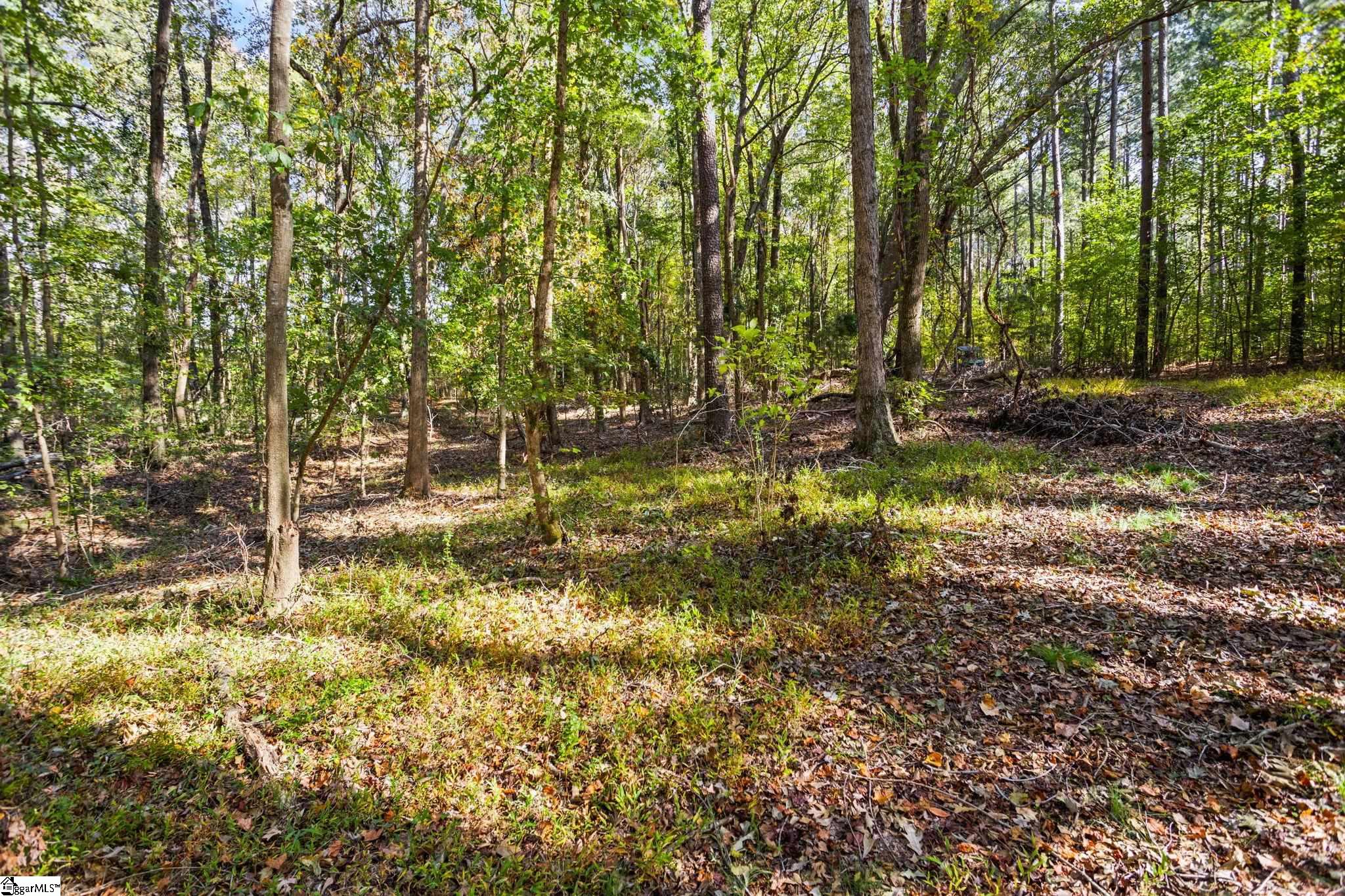 8660 Sc-highway 395, Newberry, South Carolina image 43