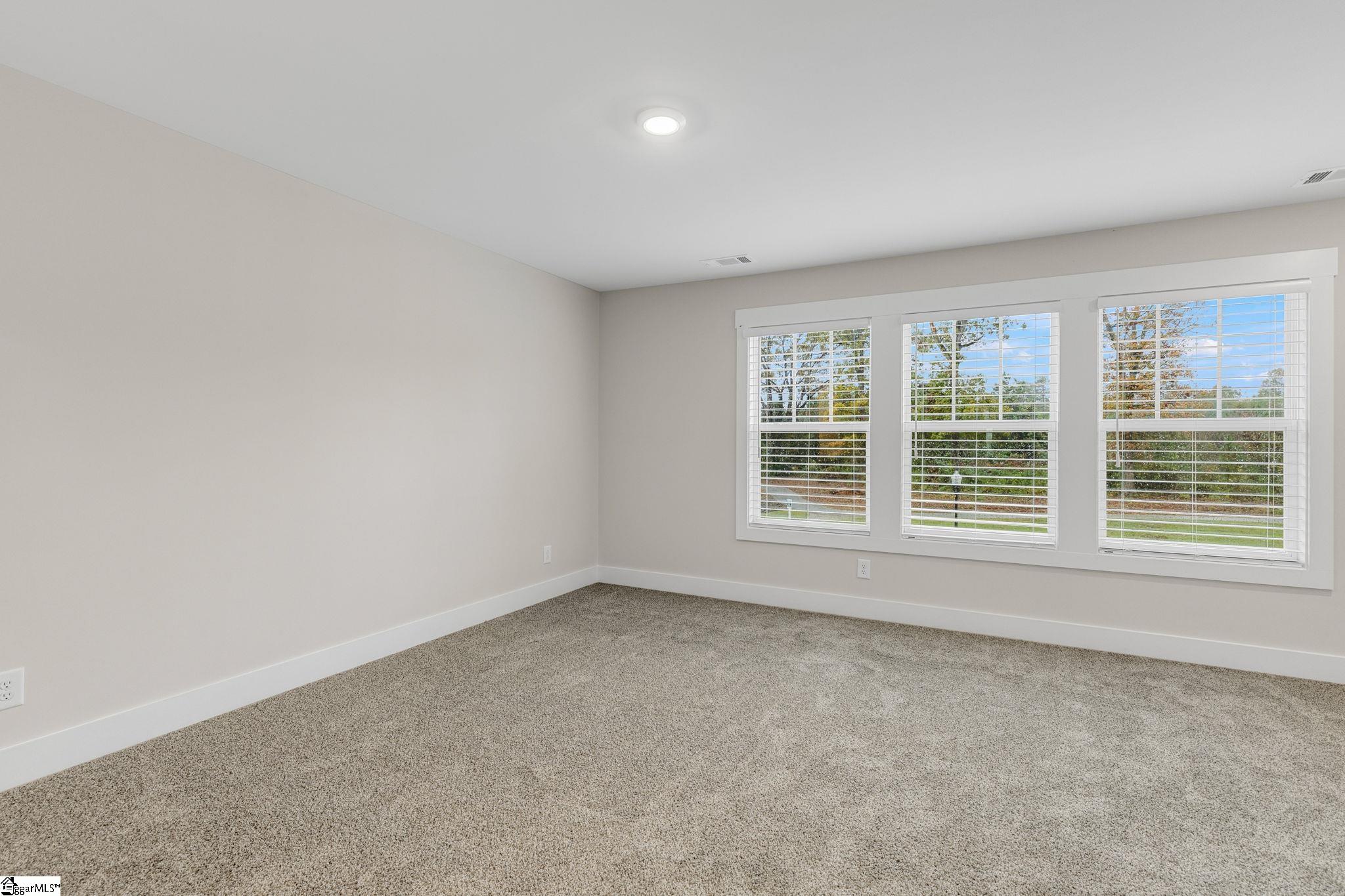 275 Dalmatian, Spartanburg, South Carolina image 16