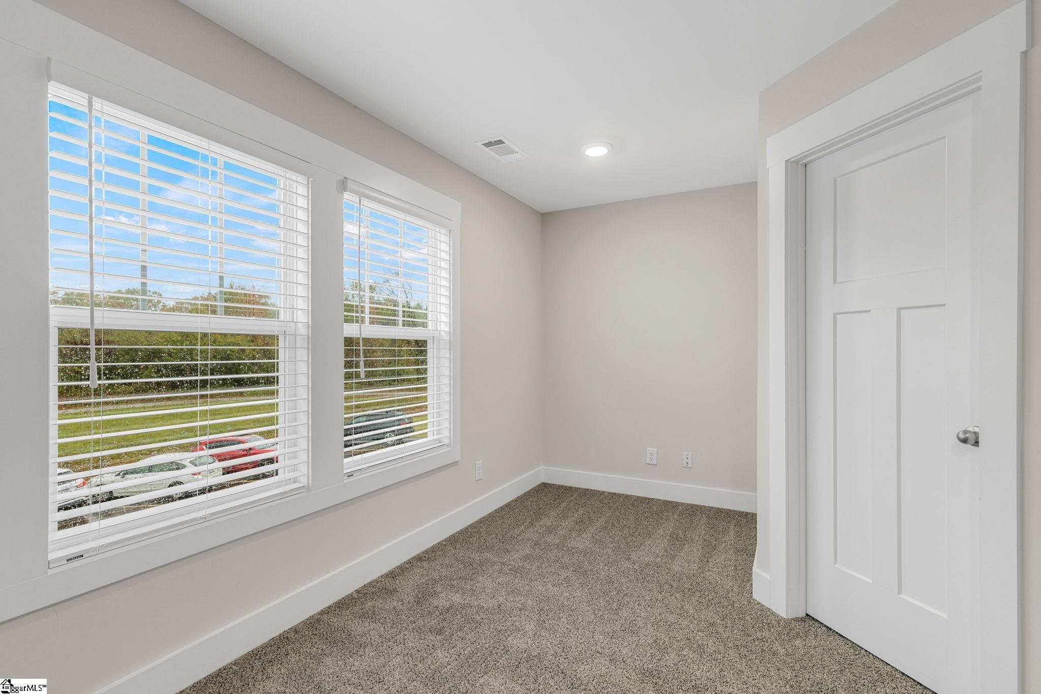 275 Dalmatian, Spartanburg, South Carolina image 18