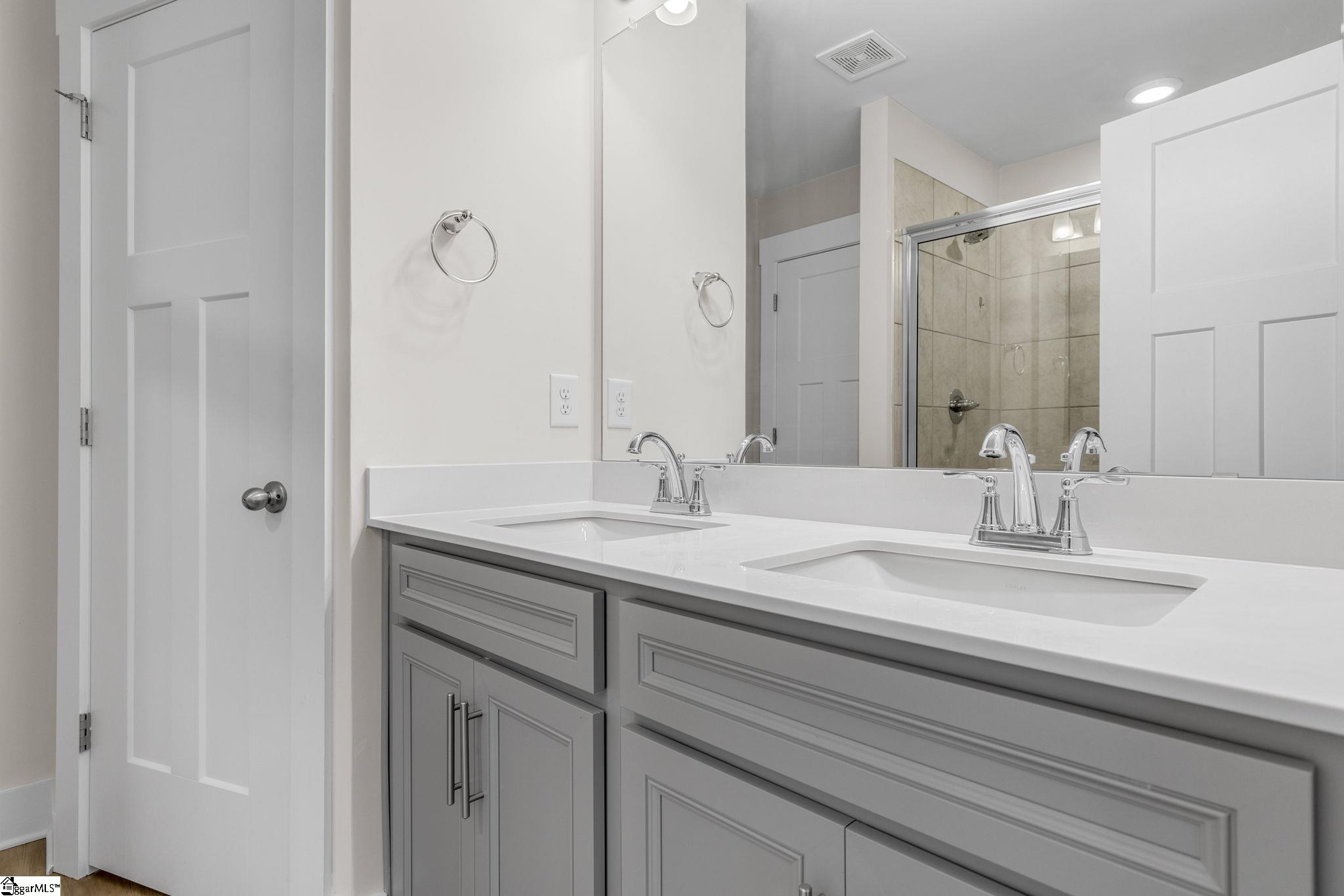275 Dalmatian, Spartanburg, South Carolina image 19
