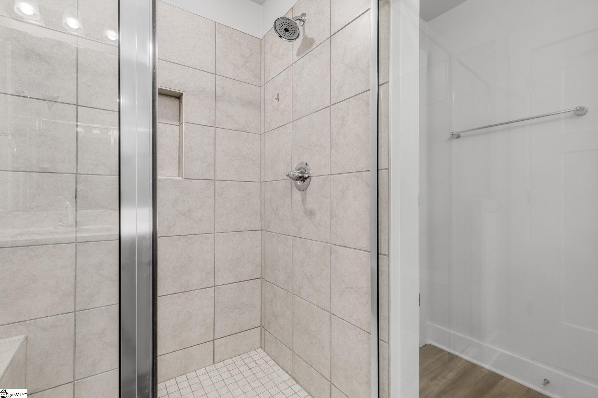 275 Dalmatian, Spartanburg, South Carolina image 20