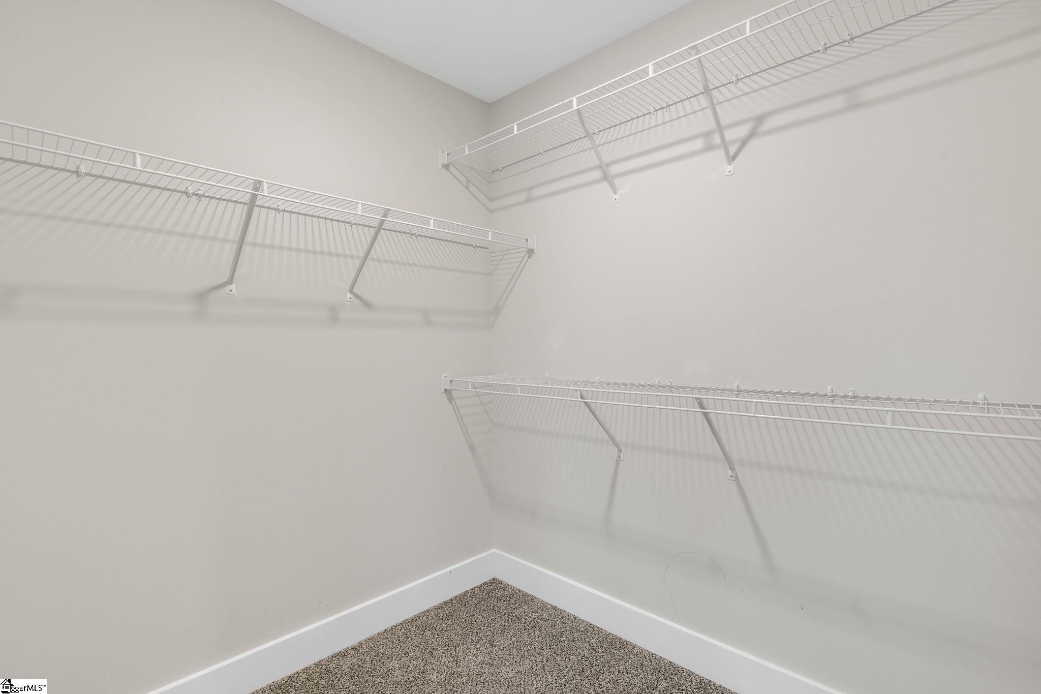 275 Dalmatian, Spartanburg, South Carolina image 21