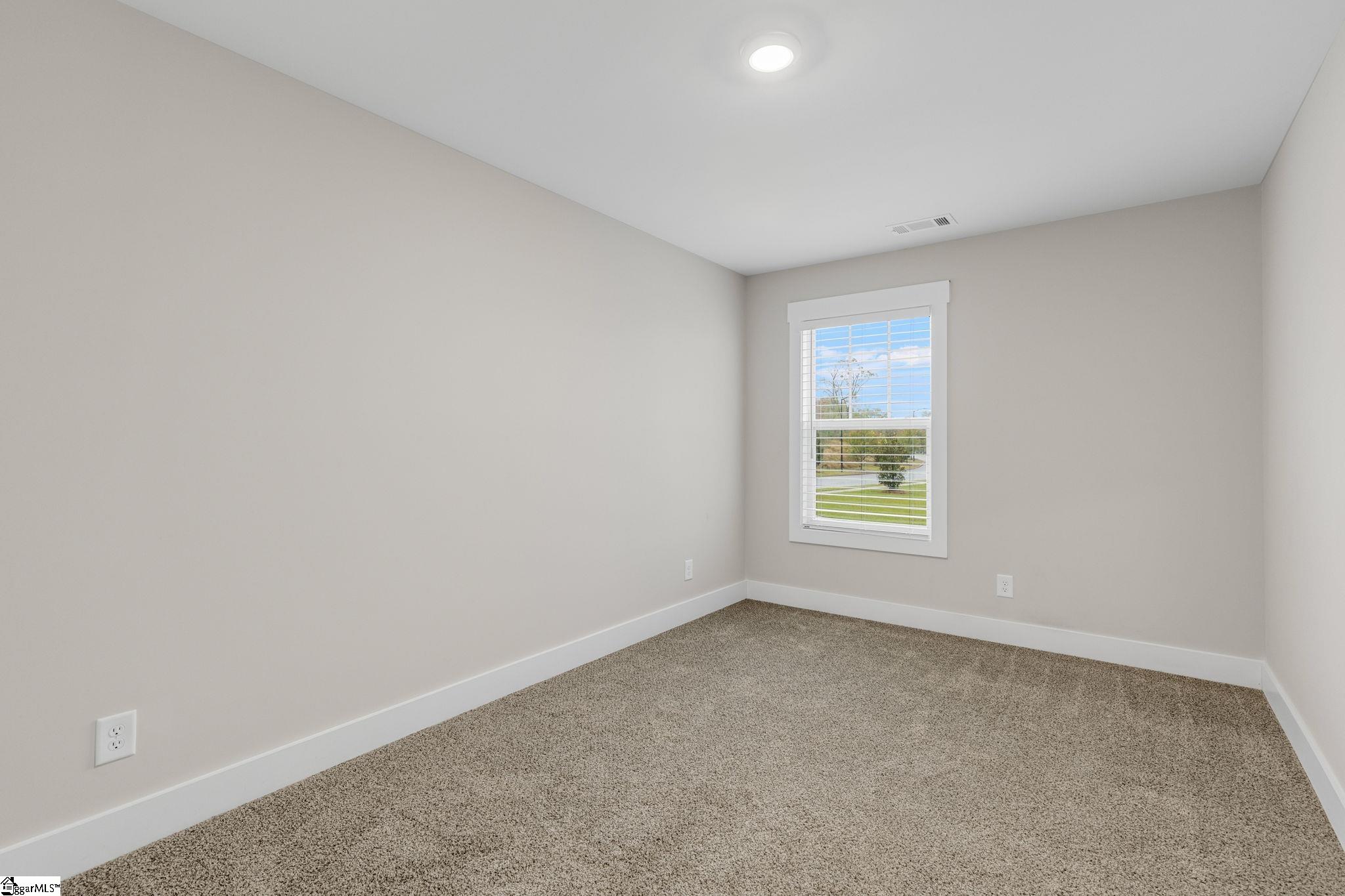 275 Dalmatian, Spartanburg, South Carolina image 23