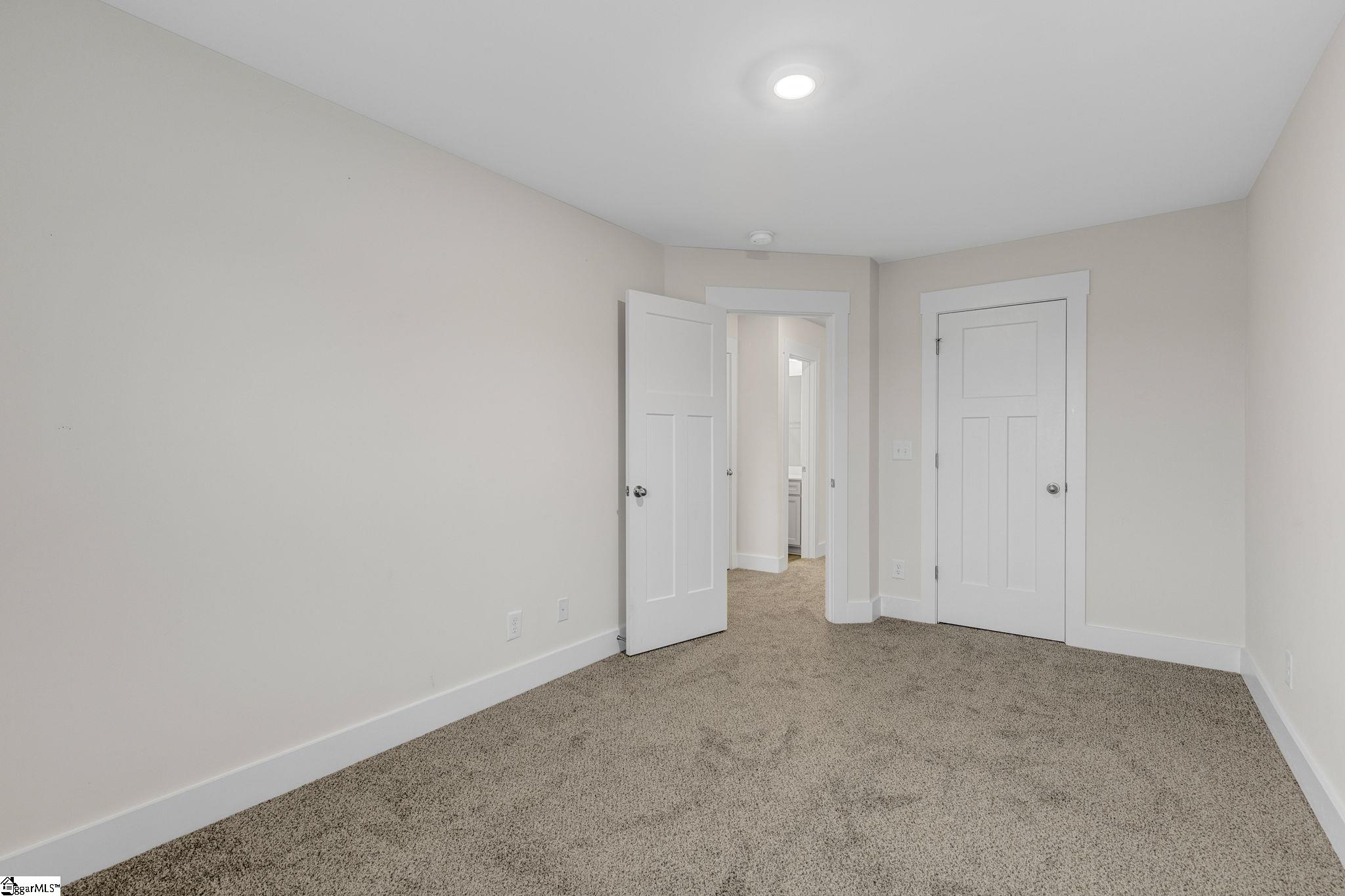 275 Dalmatian, Spartanburg, South Carolina image 24