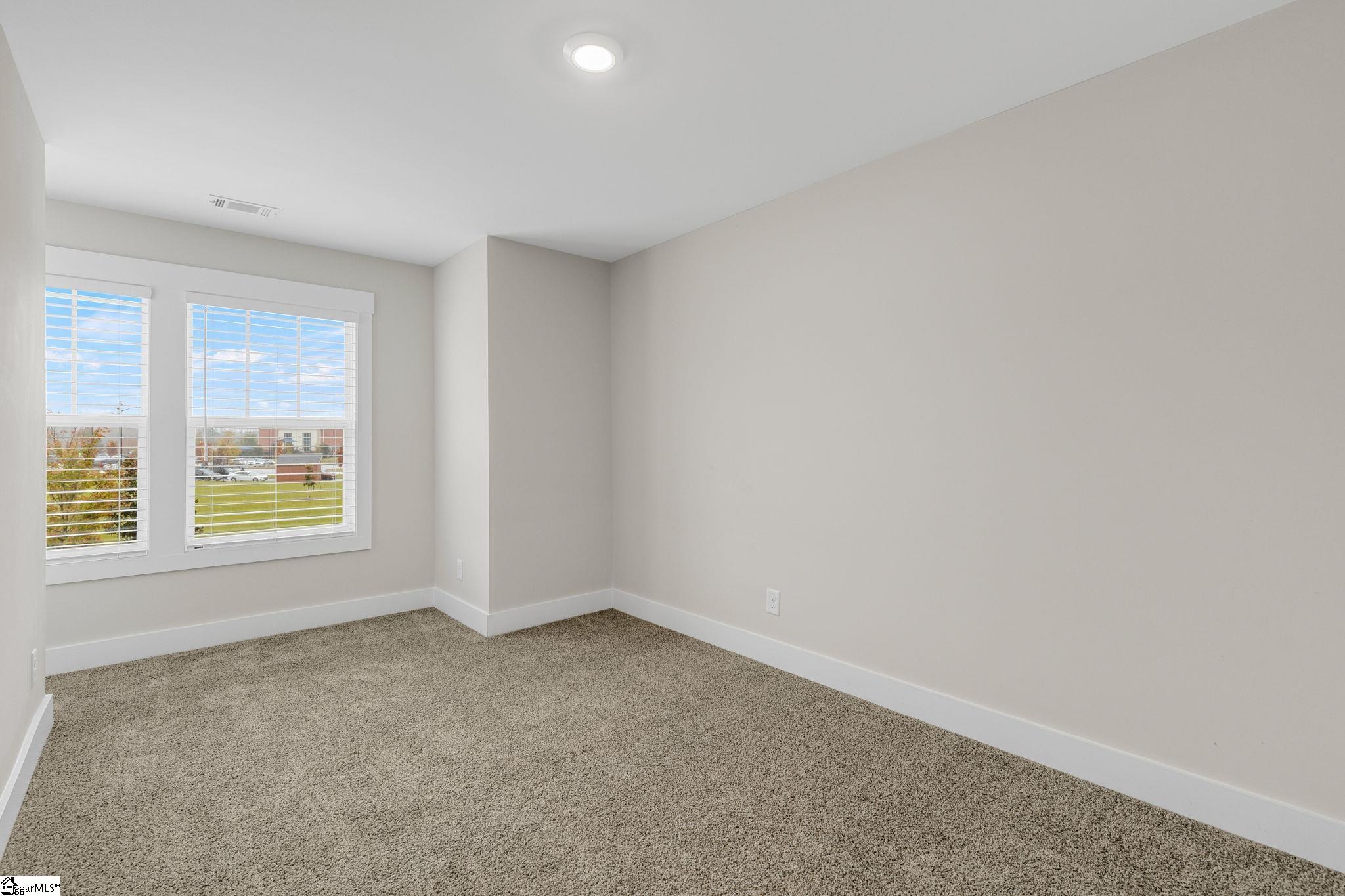 275 Dalmatian, Spartanburg, South Carolina image 25