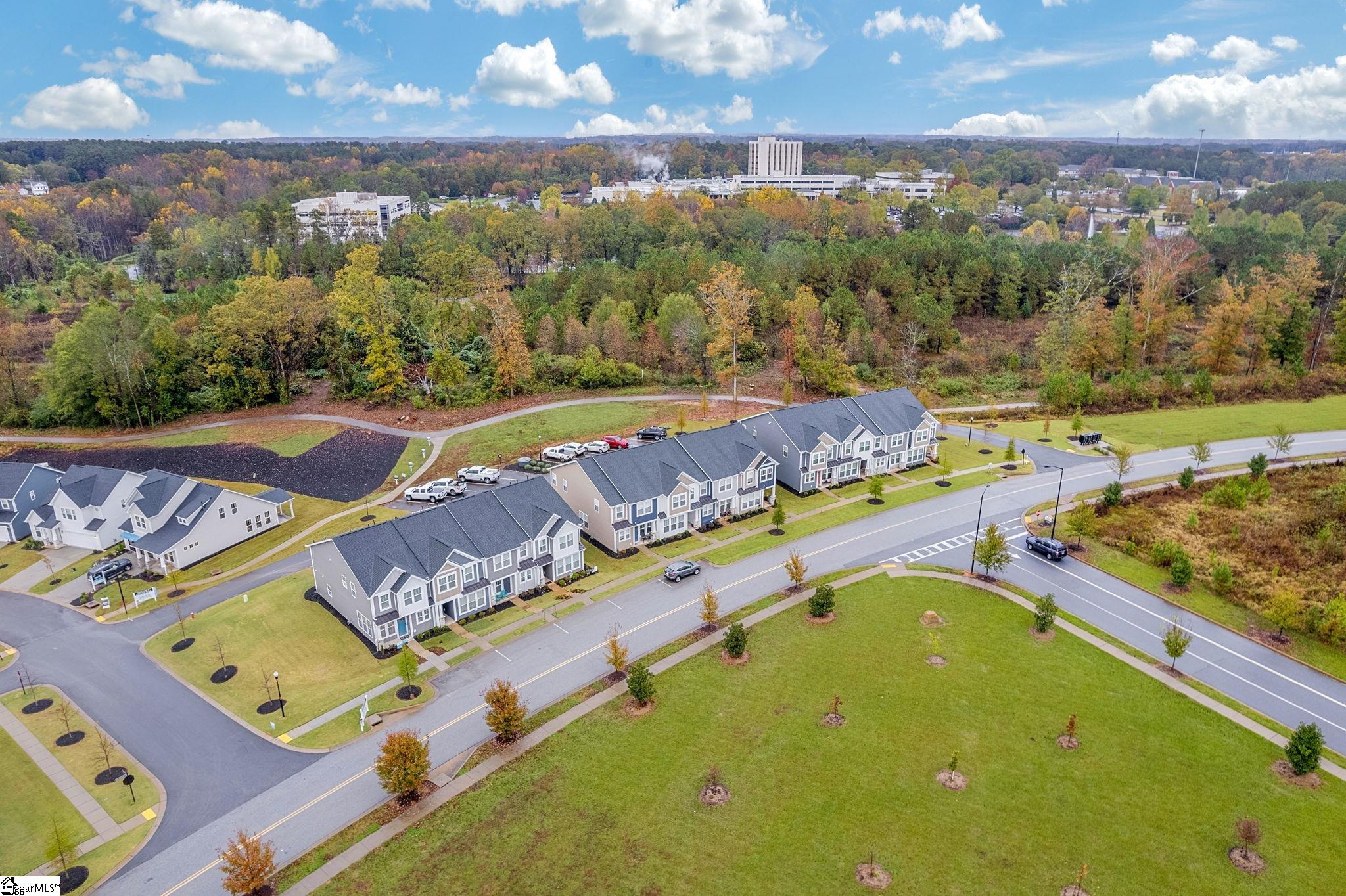 275 Dalmatian, Spartanburg, South Carolina image 33