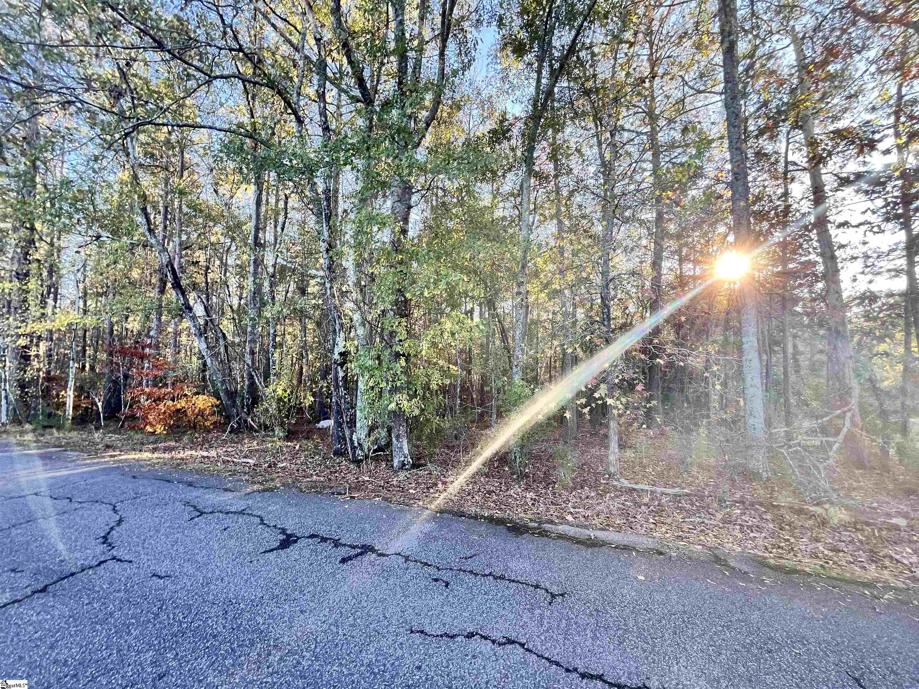 630 Rice Park, Anderson, South Carolina image 5