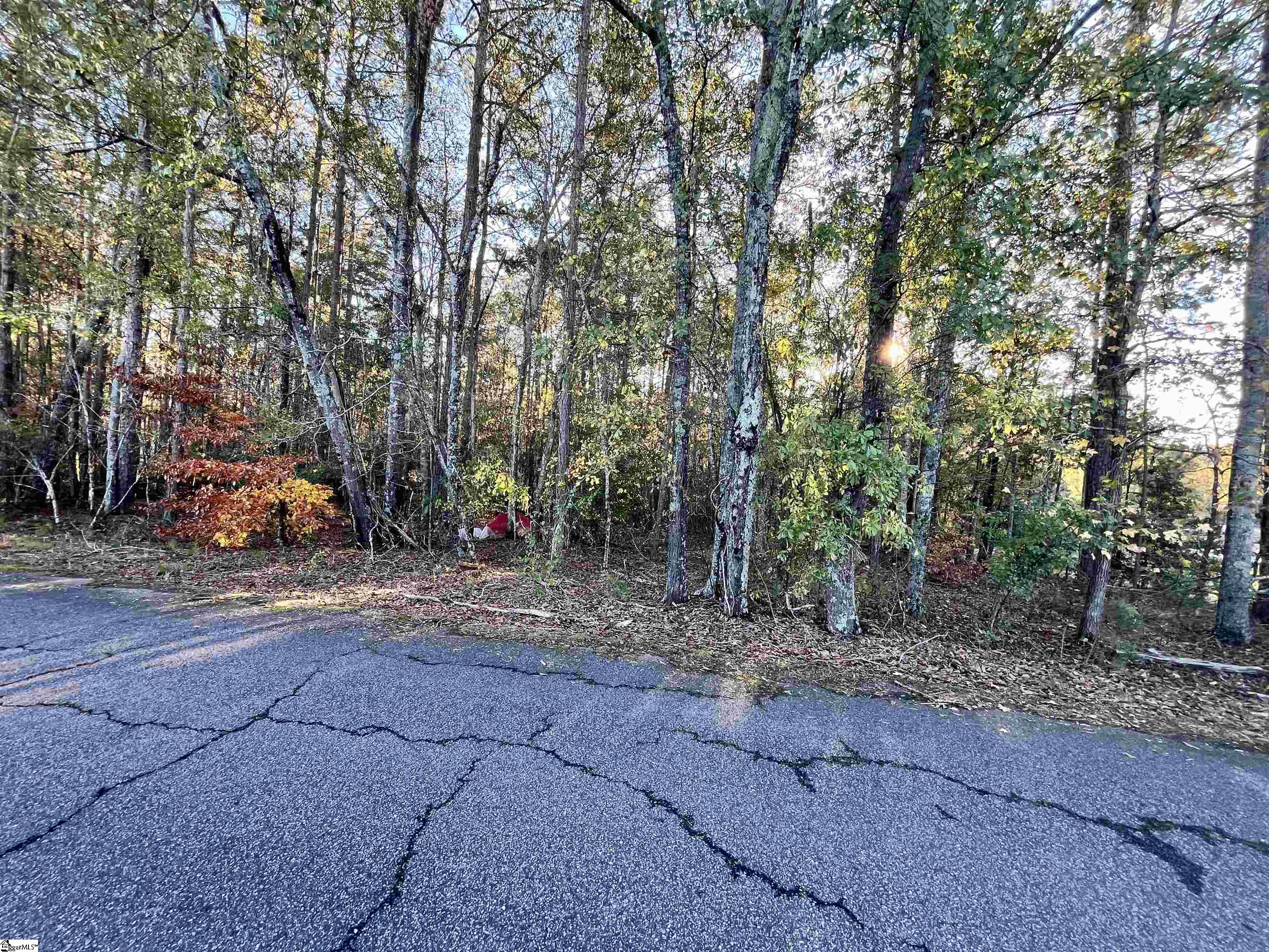 630 Rice Park, Anderson, South Carolina image 6