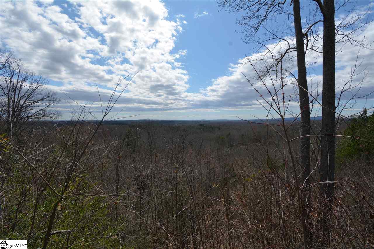 00 Packs Mountain Ridge, Taylors, South Carolina image 16