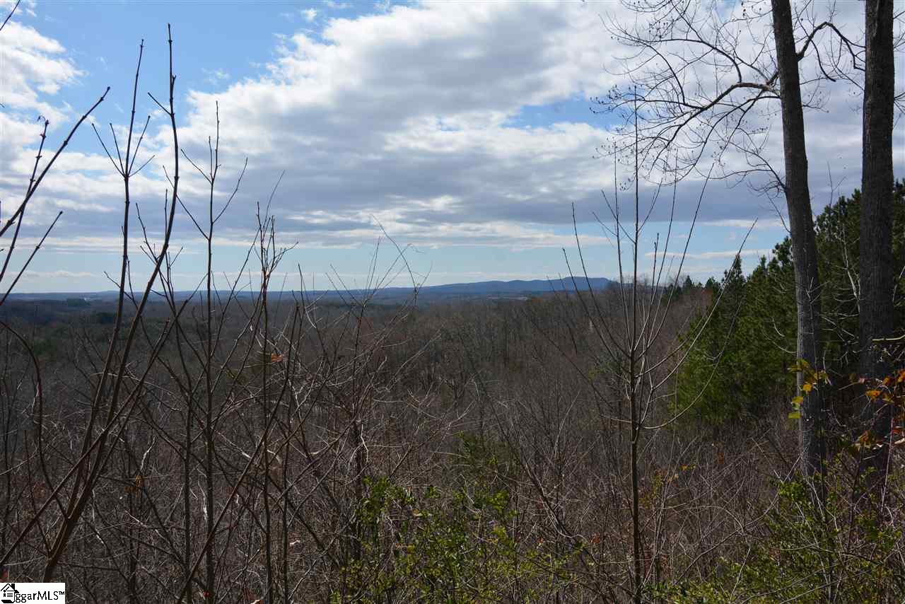 00 Packs Mountain Ridge, Taylors, South Carolina image 4