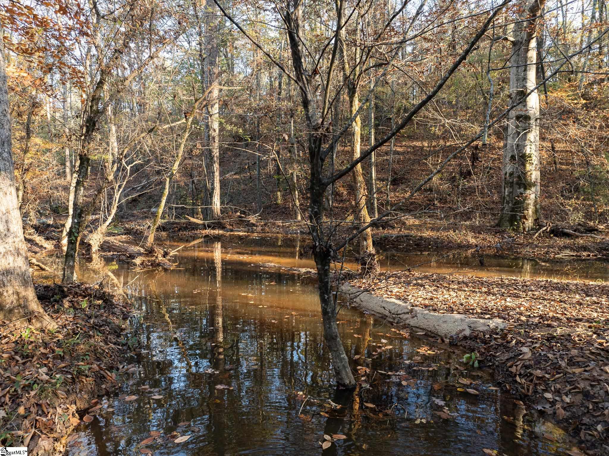 00 Puckett Ferry, Cross Hill, South Carolina image 3