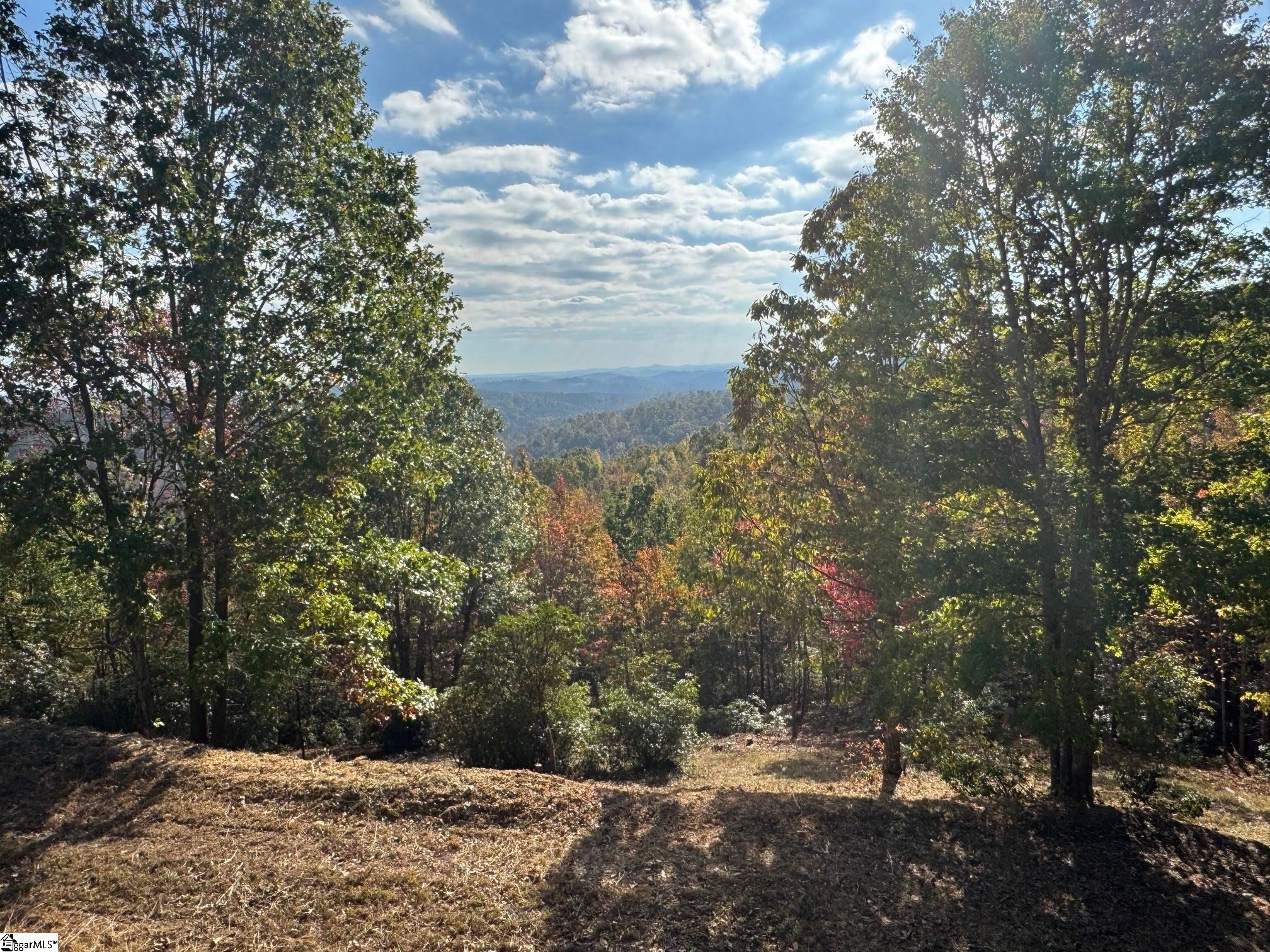 393 Blue Bonnet, Marietta, South Carolina image 2