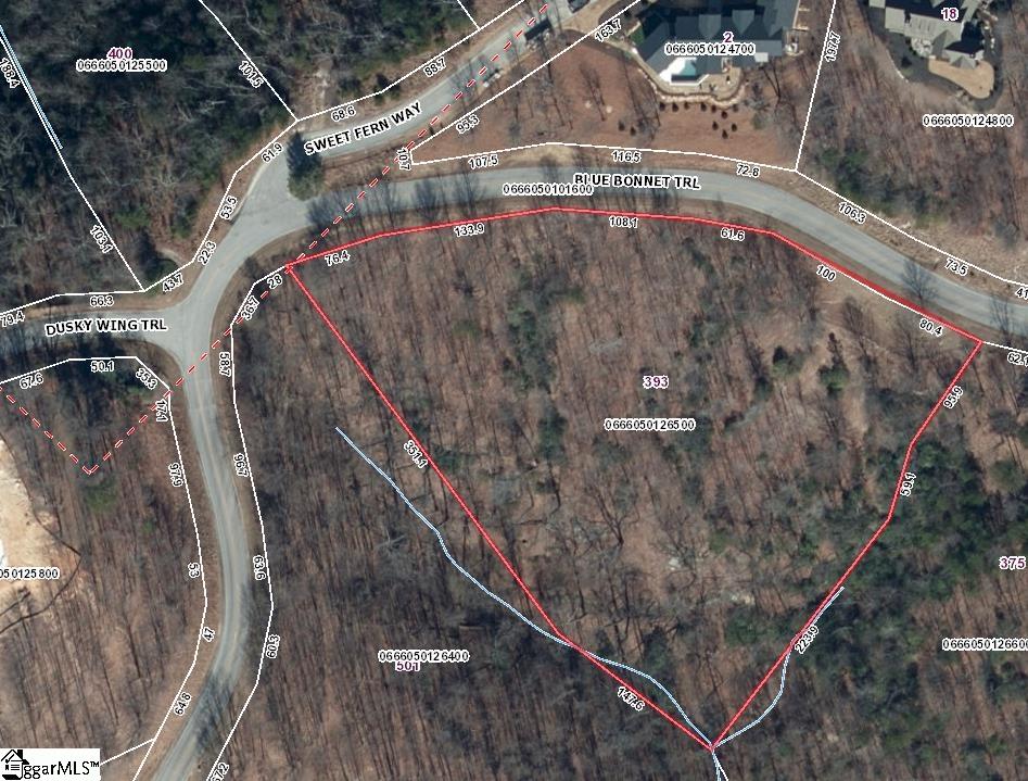 393 Blue Bonnet, Marietta, South Carolina image 4