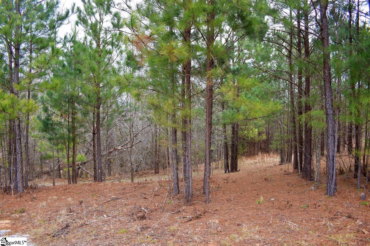 101 Lord Byron Lane Travelers Rest, SC 29690