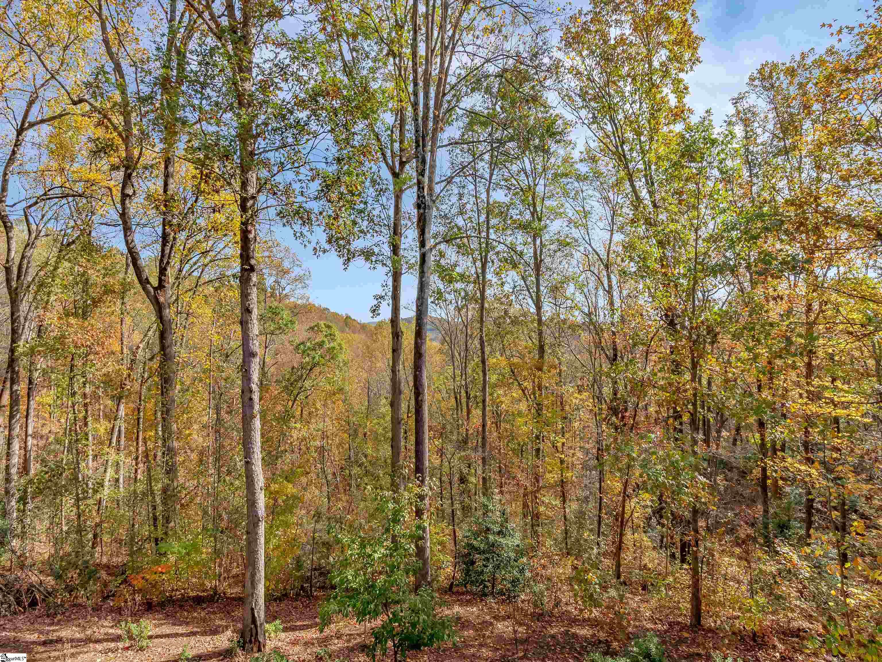 25 Angleblade, Landrum, South Carolina image 7