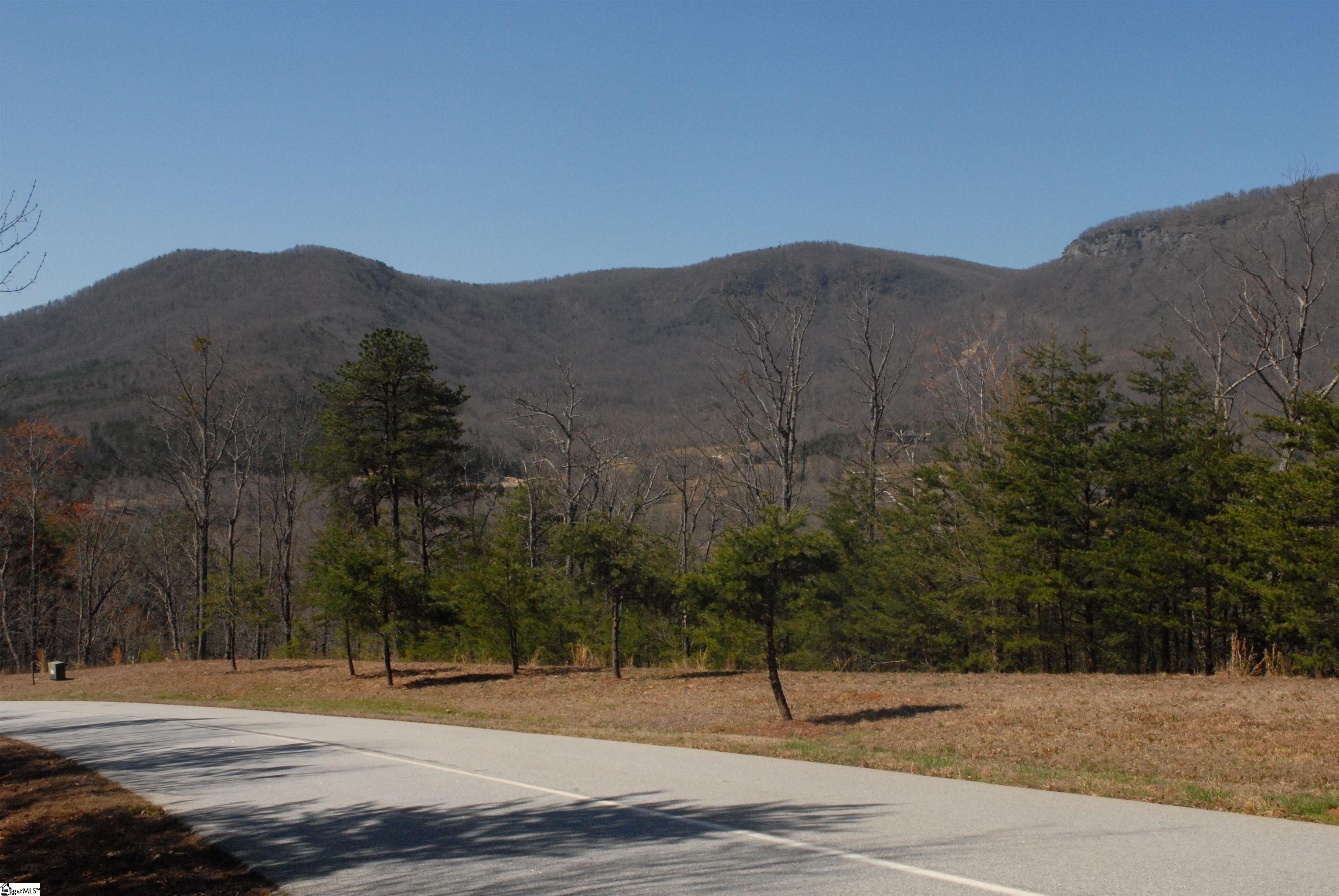 00 E Deep Gap Farm, Mill Spring, North Carolina image 2