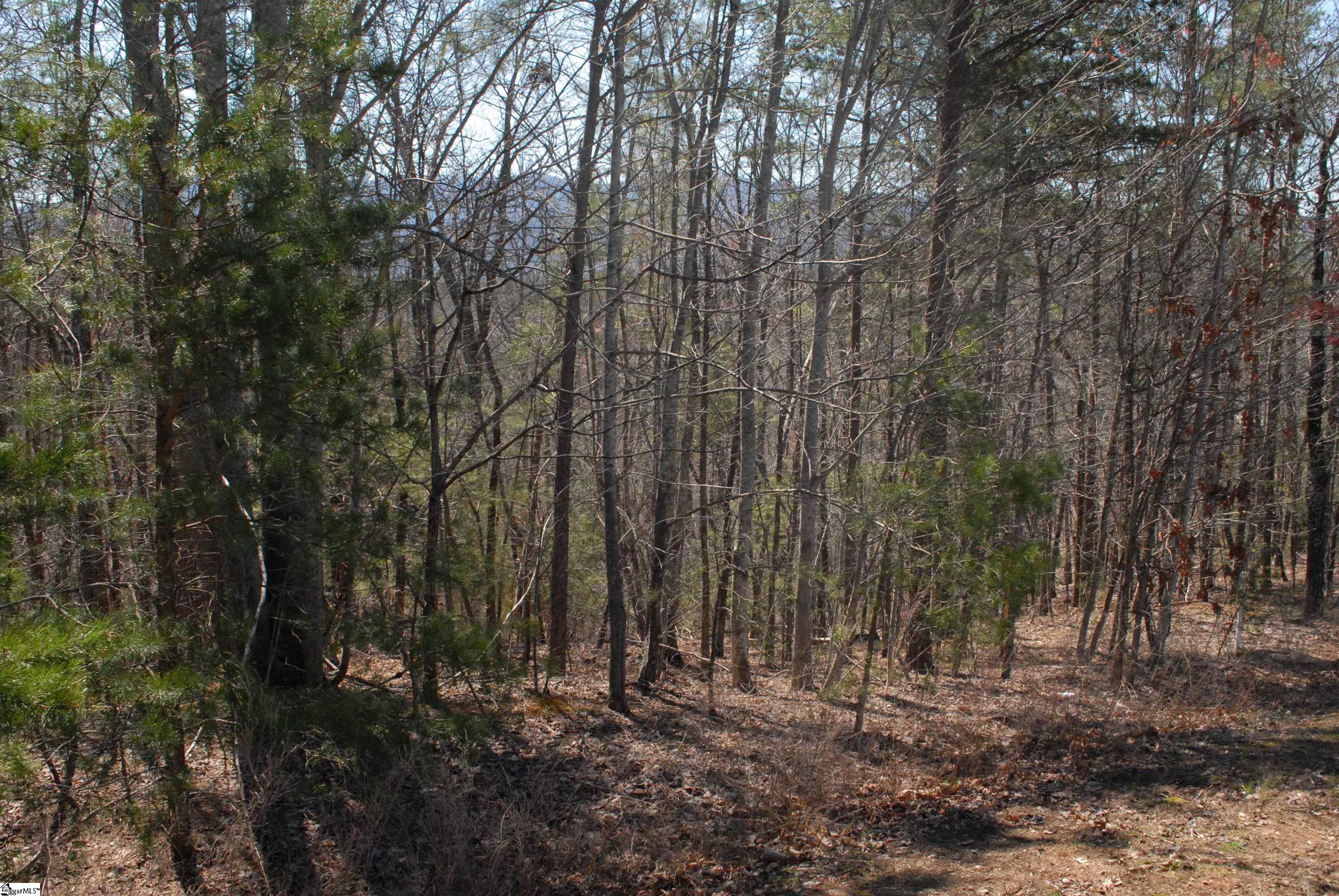 00 E Deep Gap Farm, Mill Spring, North Carolina image 3