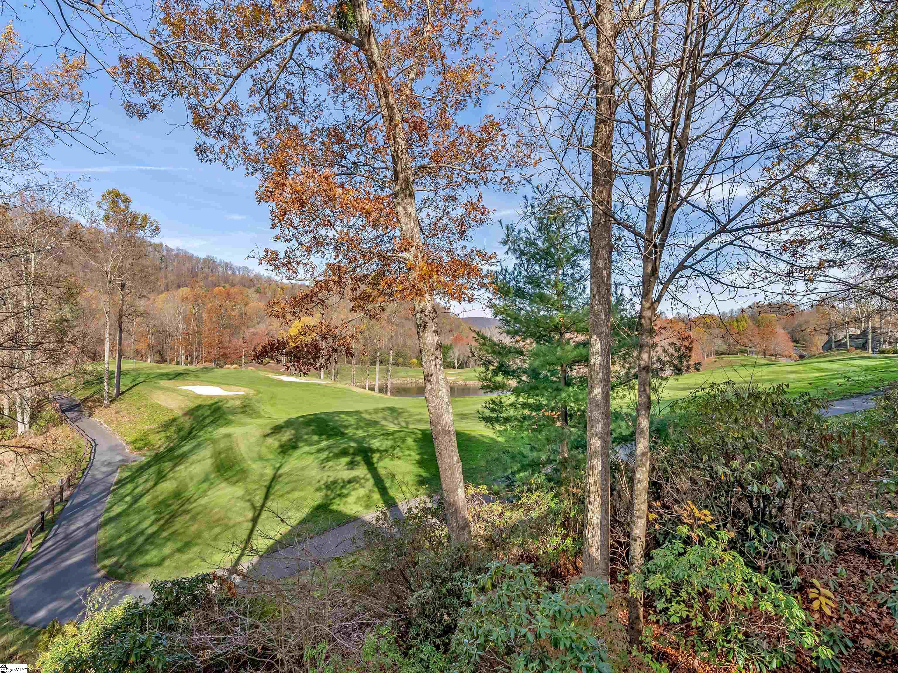 106 Fire Pink, Landrum, South Carolina image 29