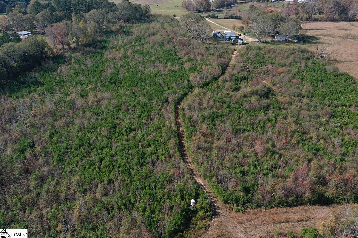 00 Poole Town, Laurens, South Carolina image 4