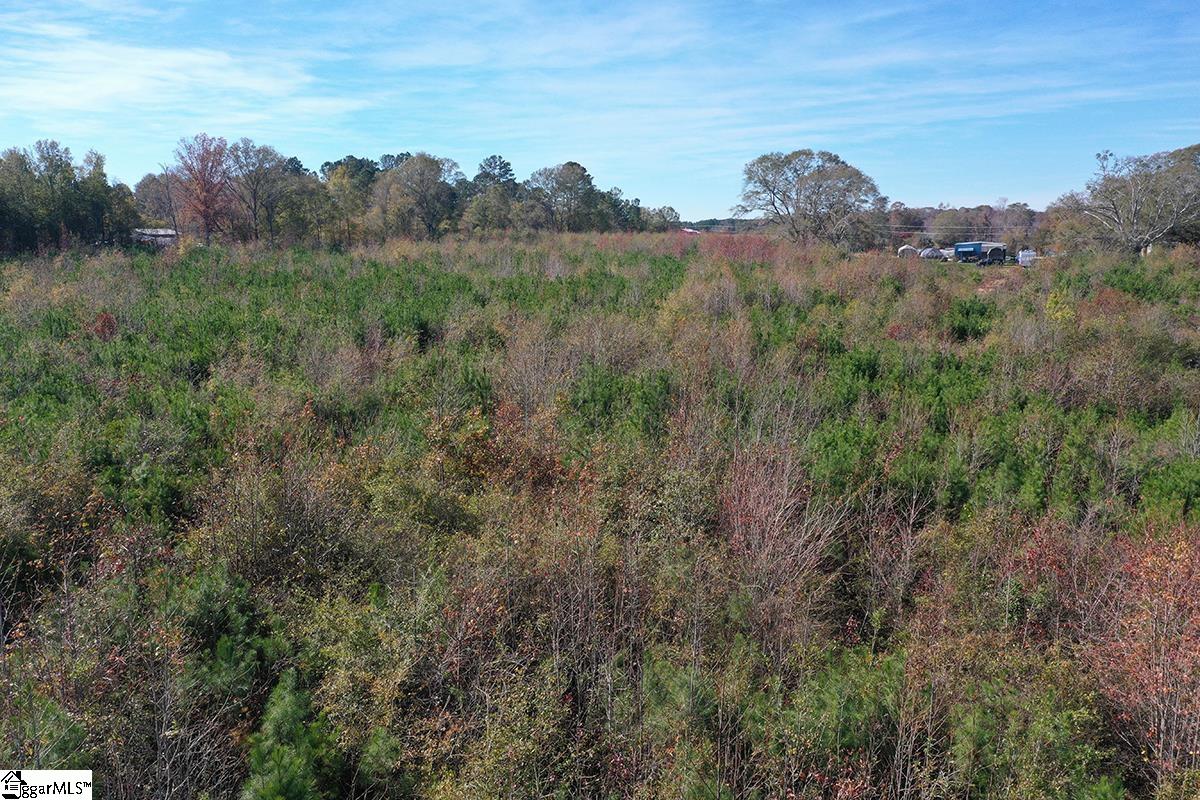 00 Poole Town, Laurens, South Carolina image 7