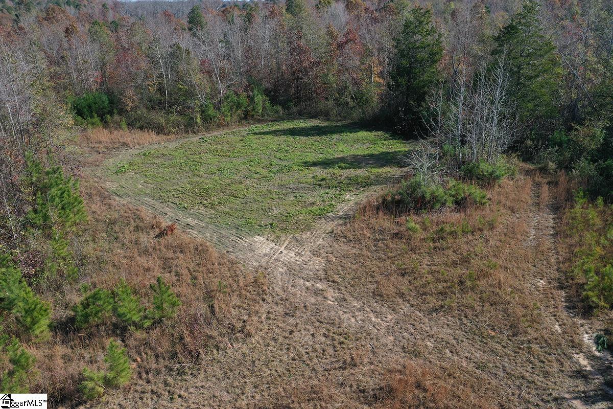 00 Poole Town, Laurens, South Carolina image 8