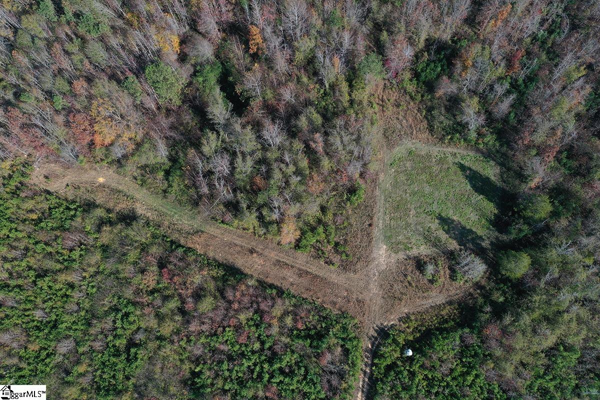 00 Poole Town, Laurens, South Carolina image 9