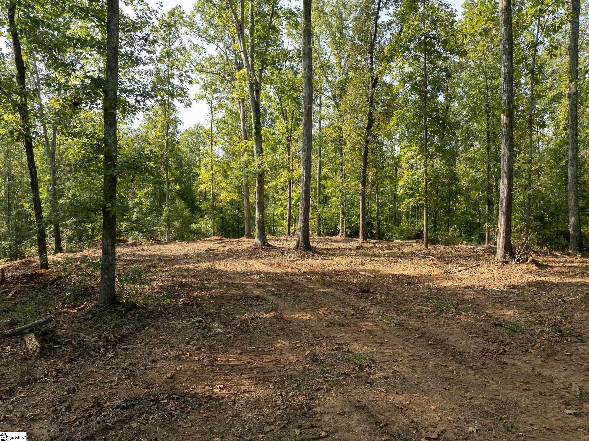 221 W Chapman, Belton, South Carolina image 16
