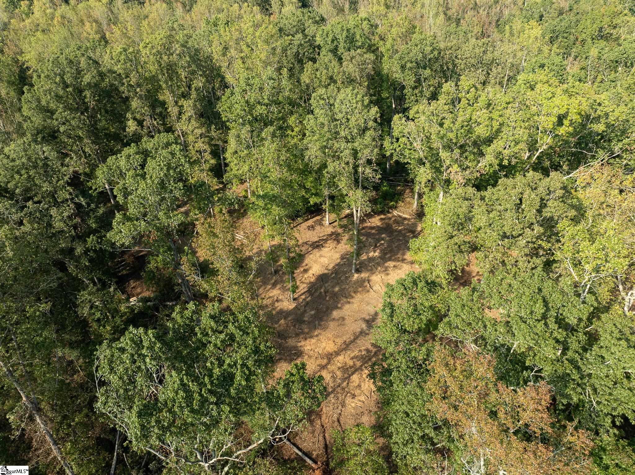 221 W Chapman, Belton, South Carolina image 19