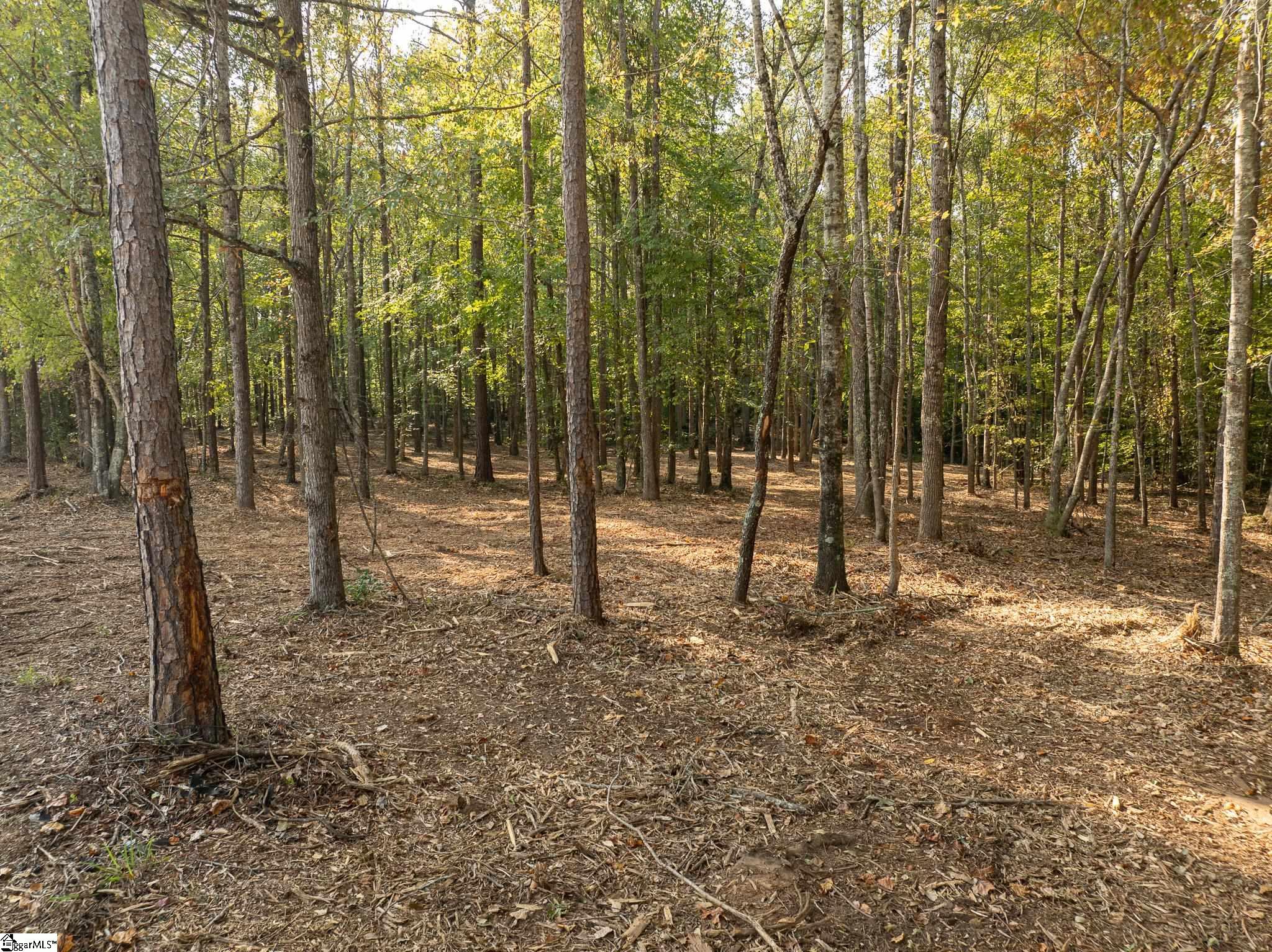 221 W Chapman, Belton, South Carolina image 30